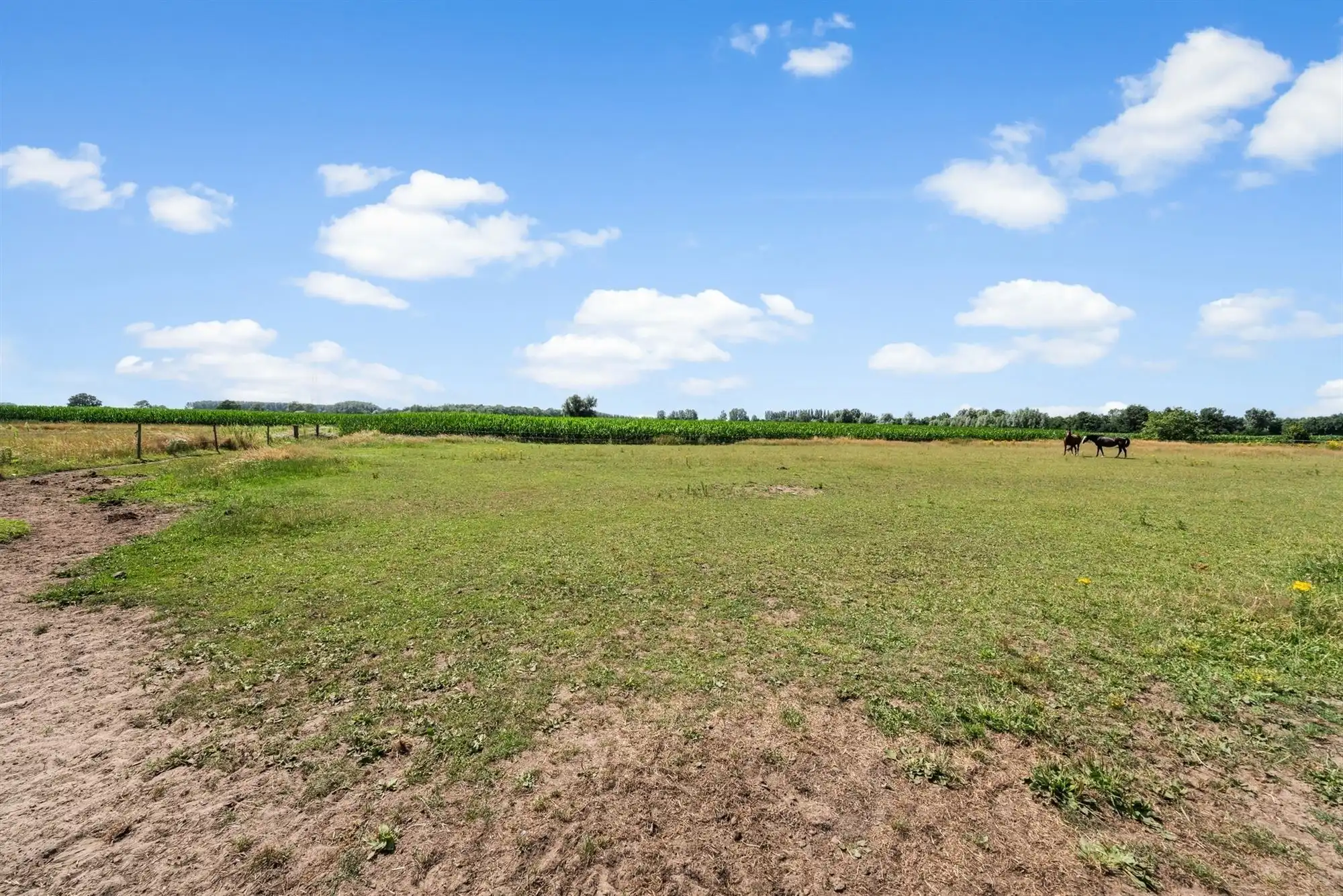 Unieke eigendom van 14.139m² voor paarden- of dierenliefhebbers of wie droomt van ruimte  foto 10