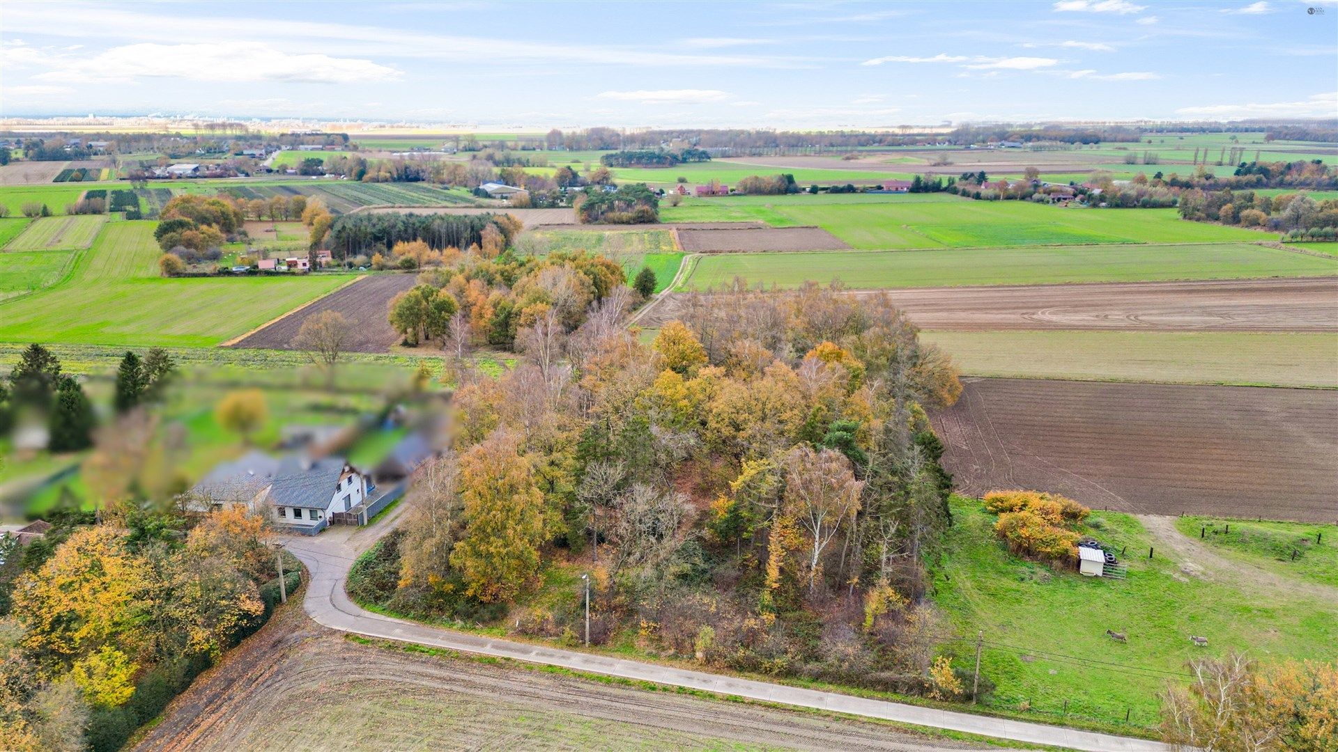 Bos op 5467m² grond foto 4