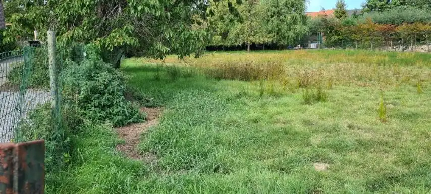 Mooi BOUWPERCEEL op 16 are 48 ca, straatbreedte 25 meter foto 4