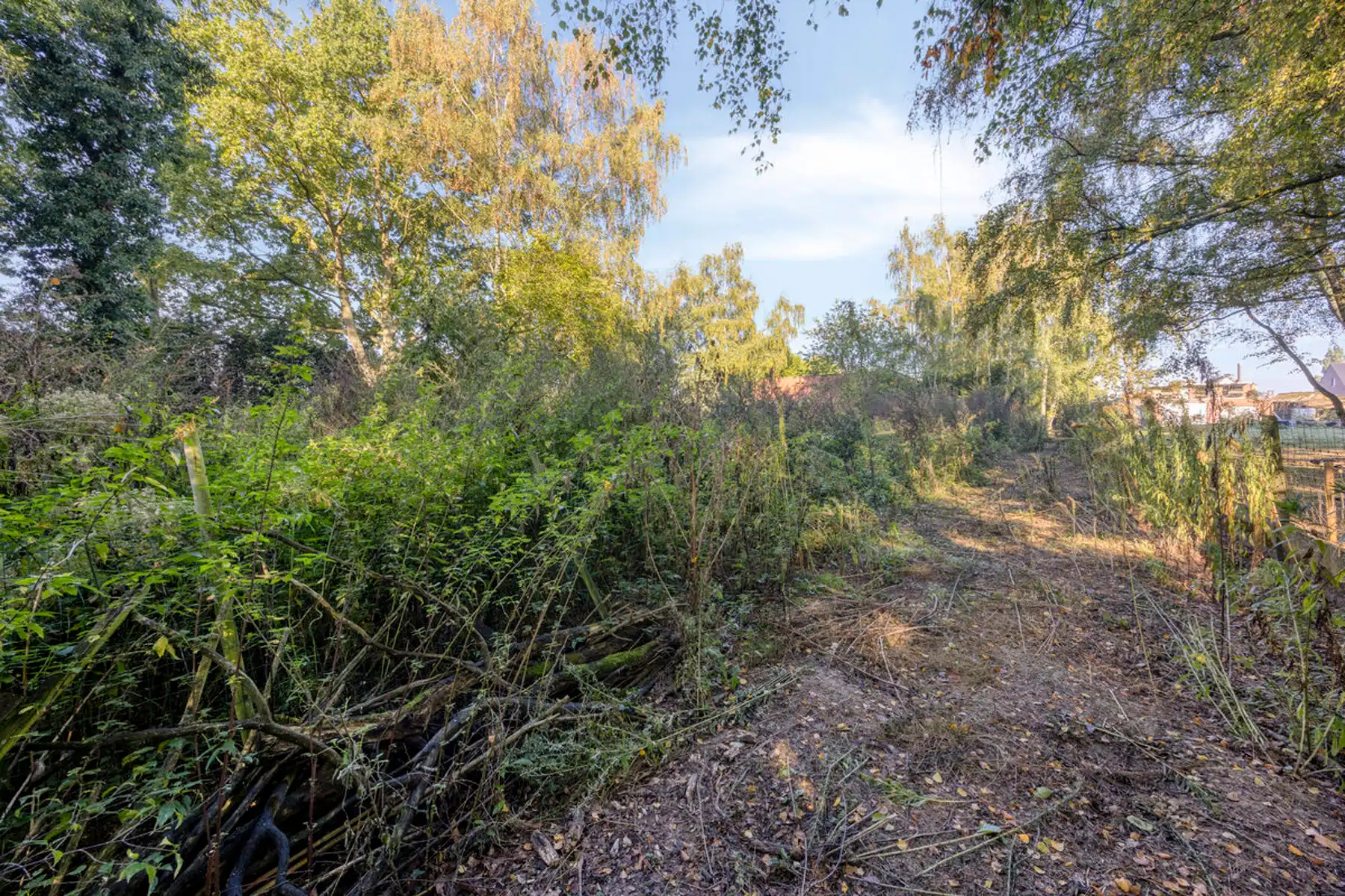 Energetisch gerenoveerde woning met tuin uitgevend op Liedekerkebos foto 18