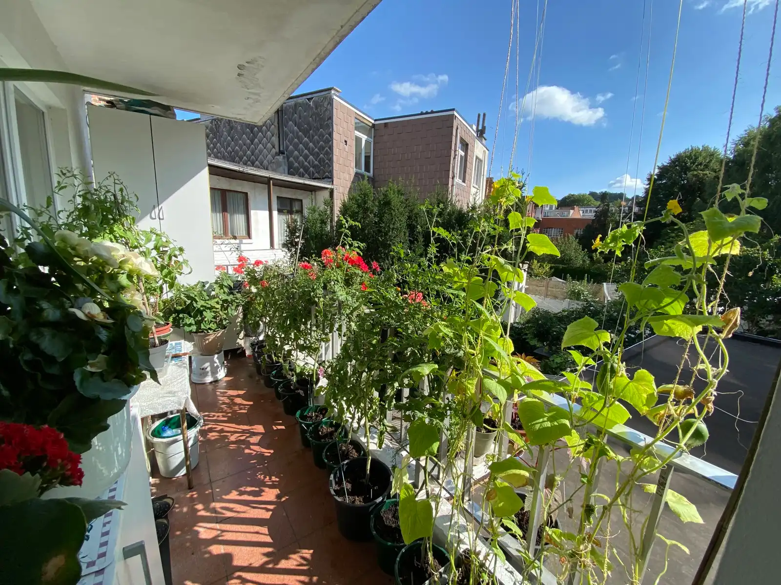 OPTIE Opbrengsteigendom gemengd gebruik foto 13