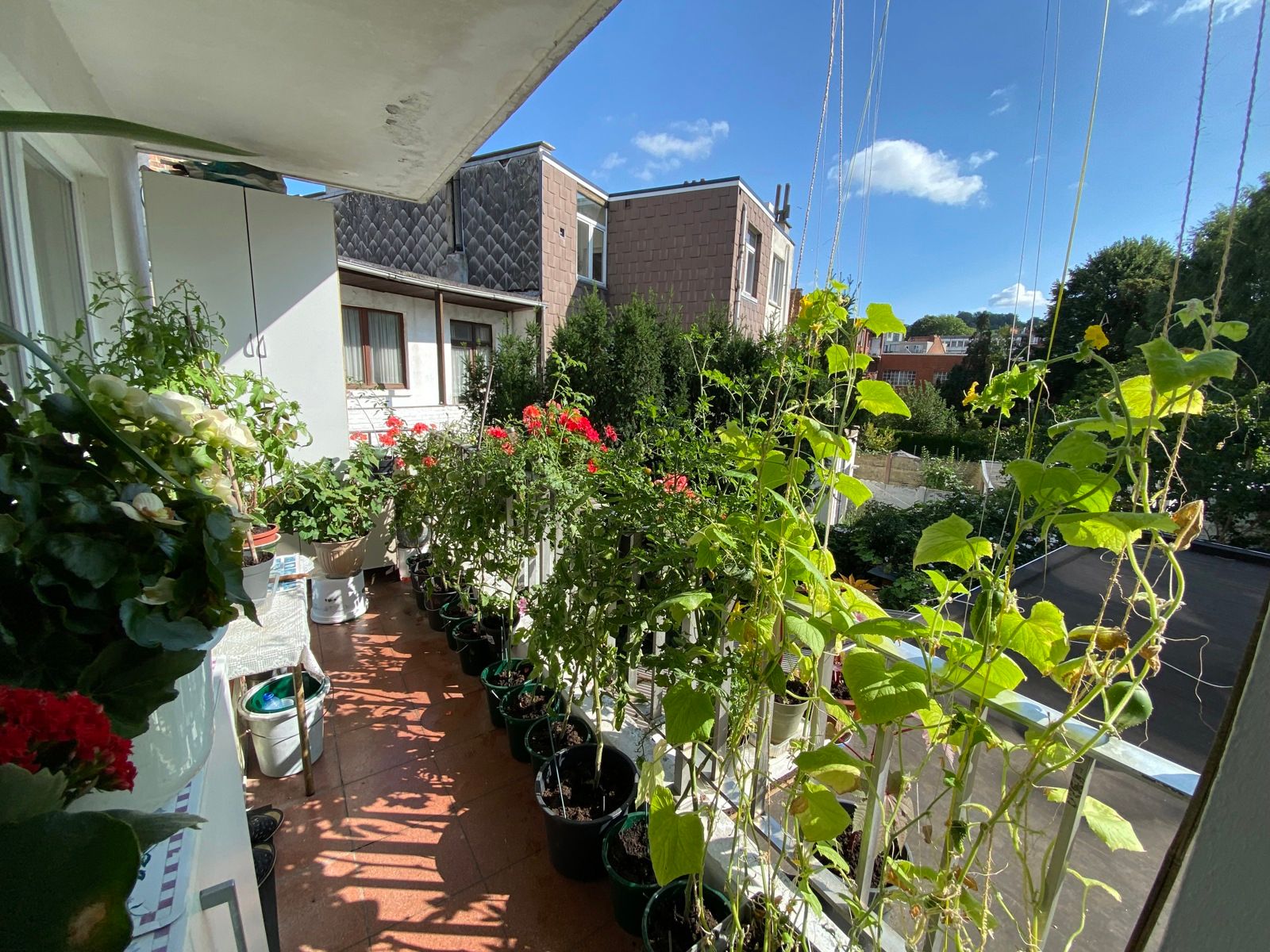 OPTIE Opbrengsteigendom gemengd gebruik foto 13