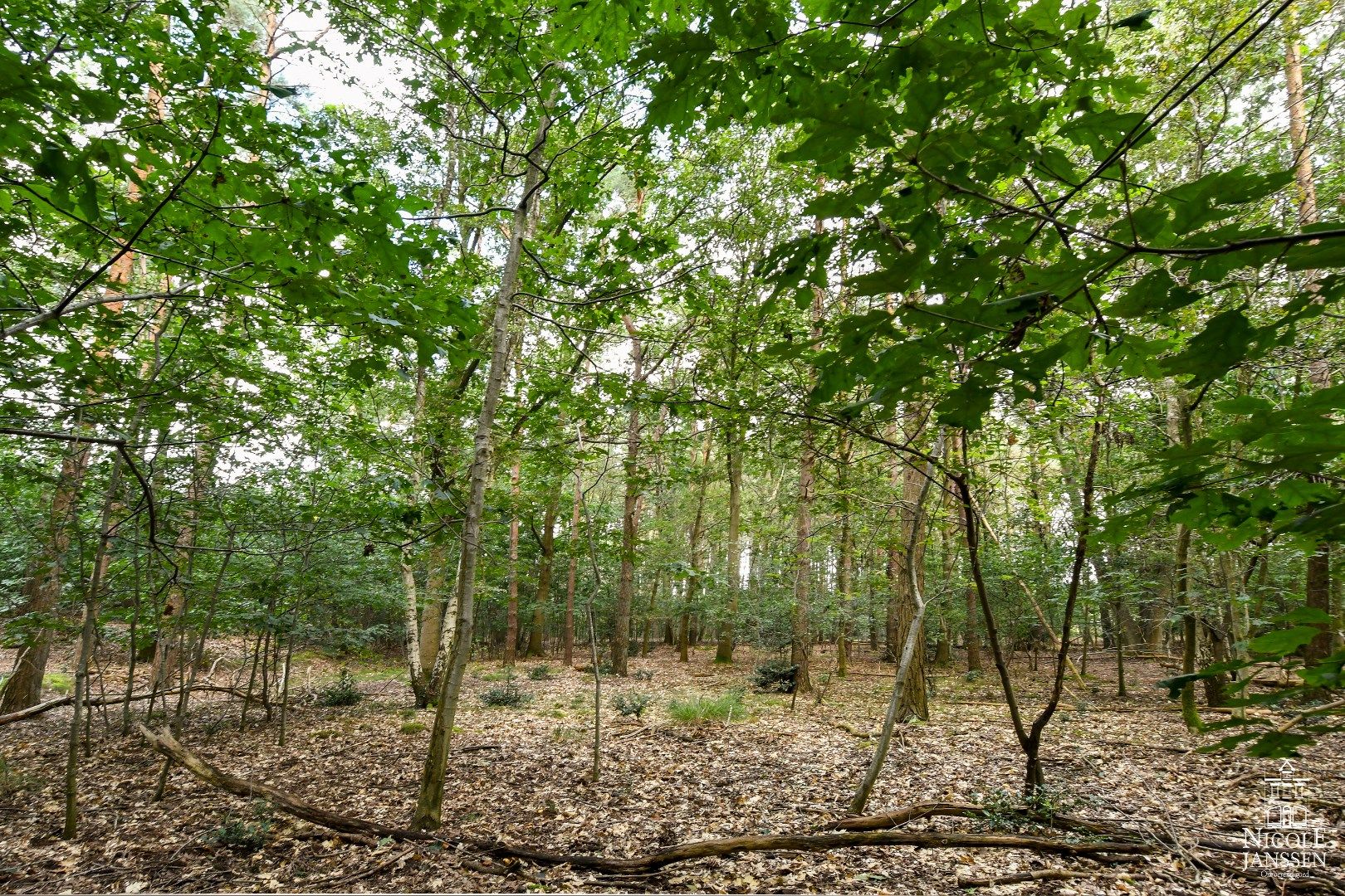 Bijzonder pand in bosrijke omgeving foto 32