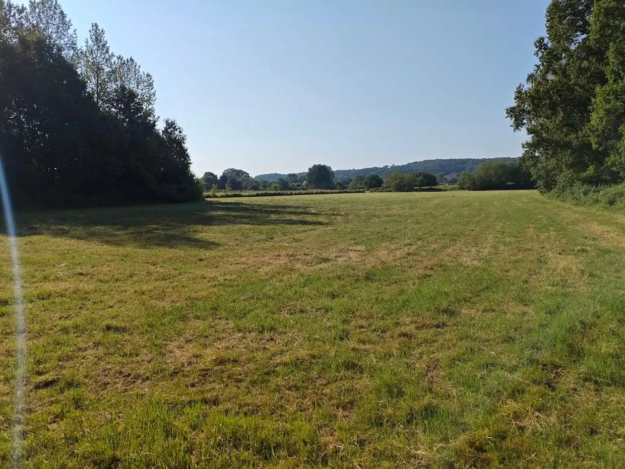 Vrije blok landbouwgrond te koop in Holsbeek foto 6
