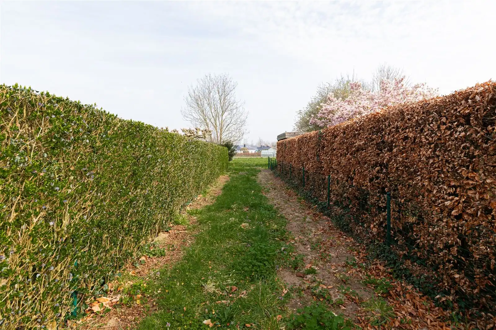 Bouwgrond voor open bebouwing met privatieve oprijlaan! foto 3