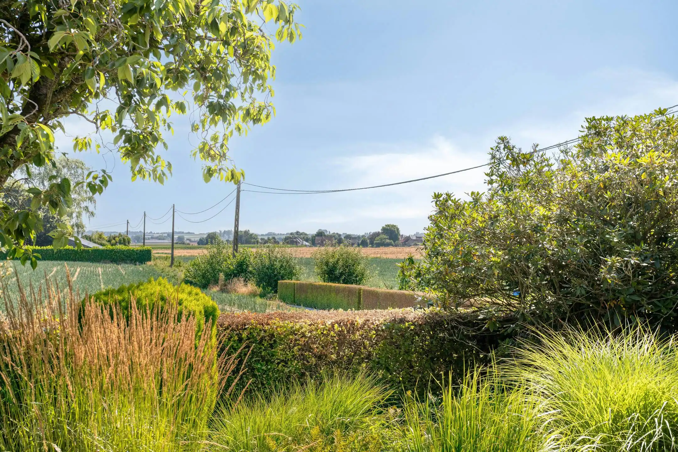 Wonen in het groen: landelijke gezinswoning te koop Rollegem foto 6