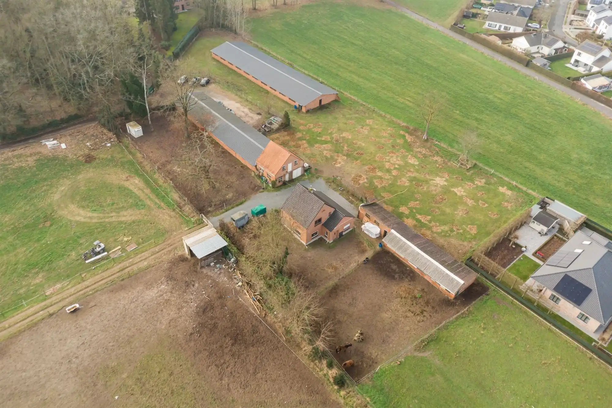 Te renoveren hoeve met enorm veel potentieel foto 23