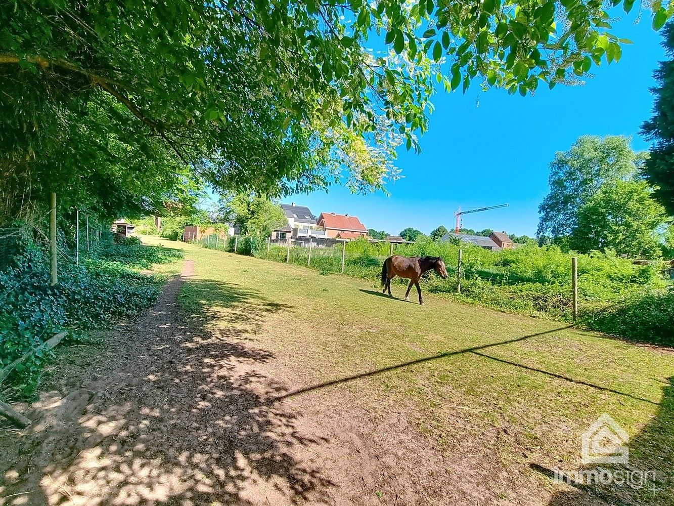 Grond te koop in Heusden-Zolder – Rustige ligging, groot perceel! foto 7