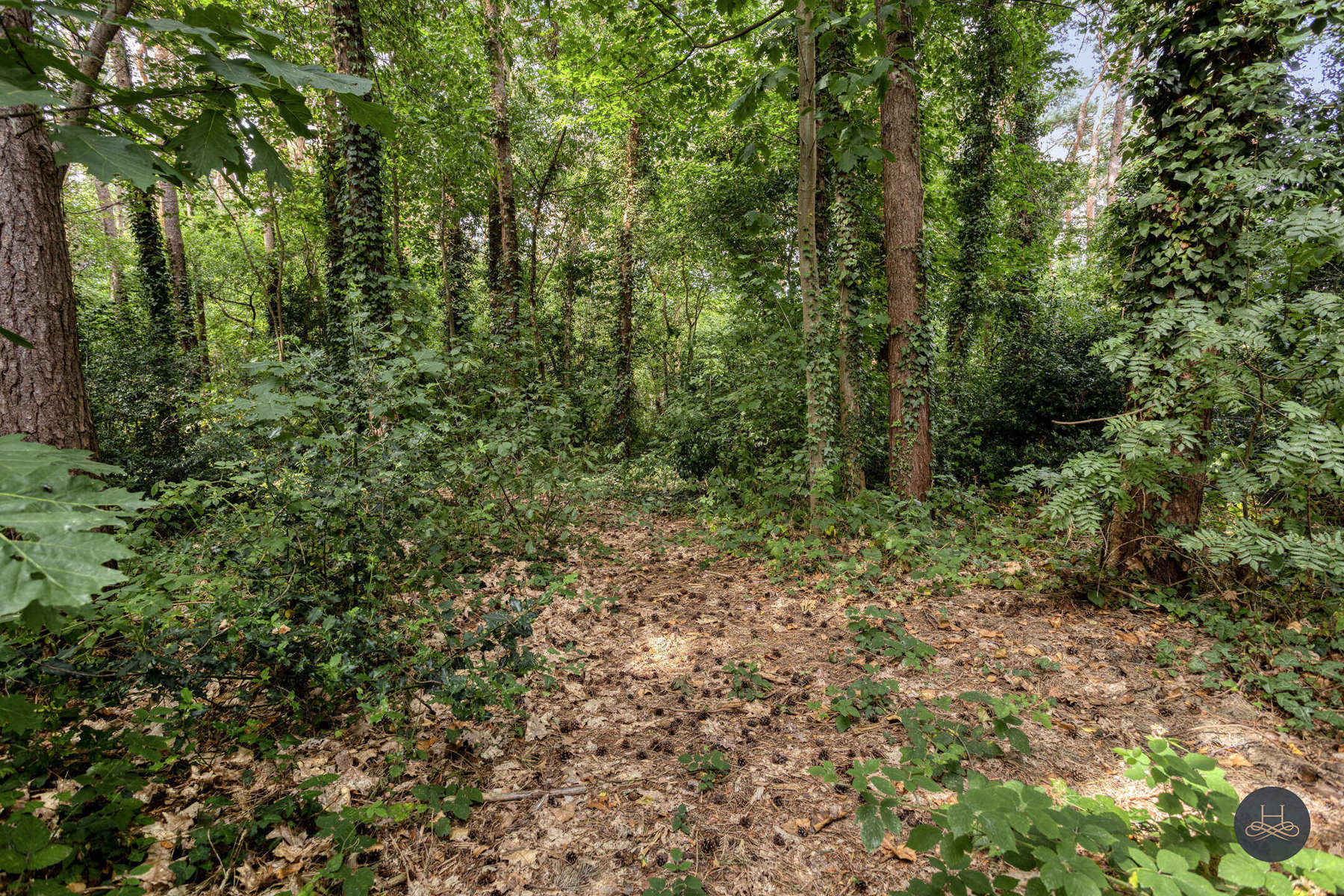 Karaktervolle woning met grote tuin en bos (81a73ca) foto 60