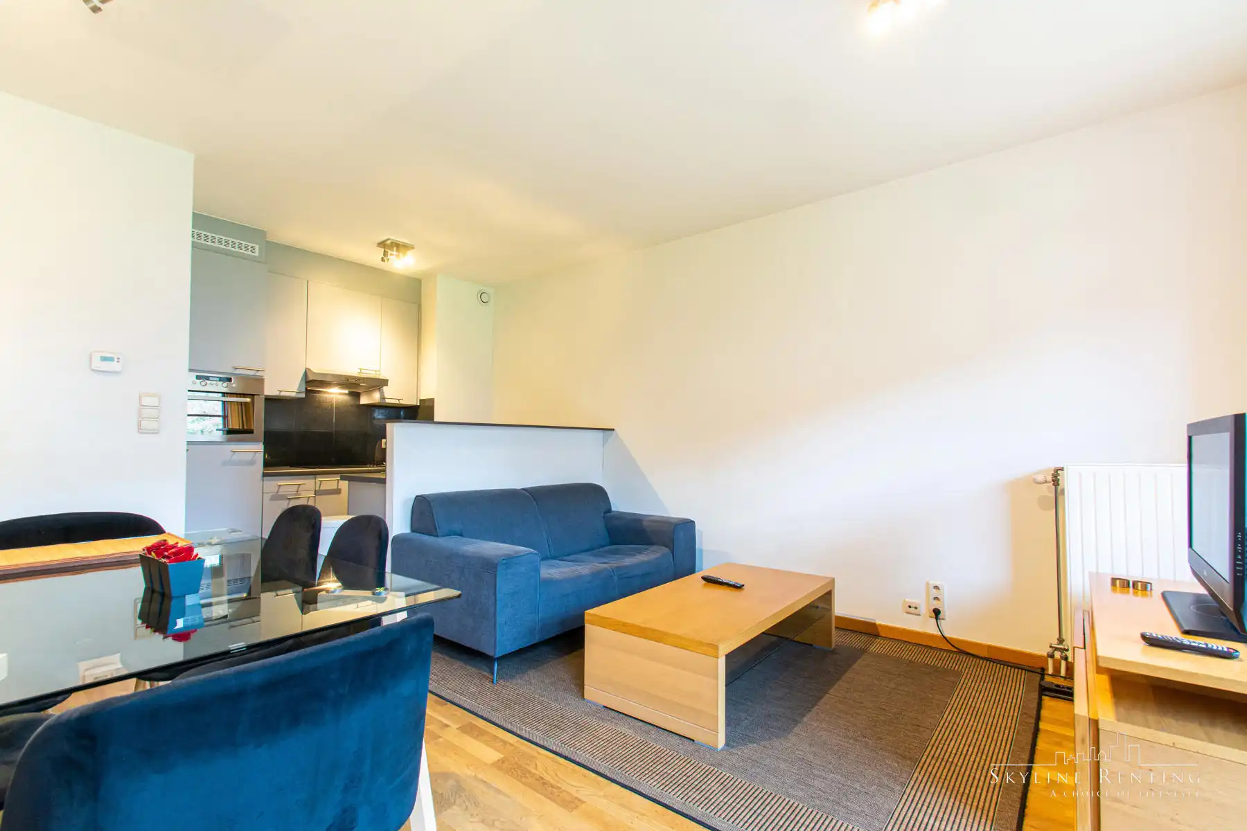 LICHTRIJK - Prachtig 2 SLPK gemeubeld appartement (terras) foto 4