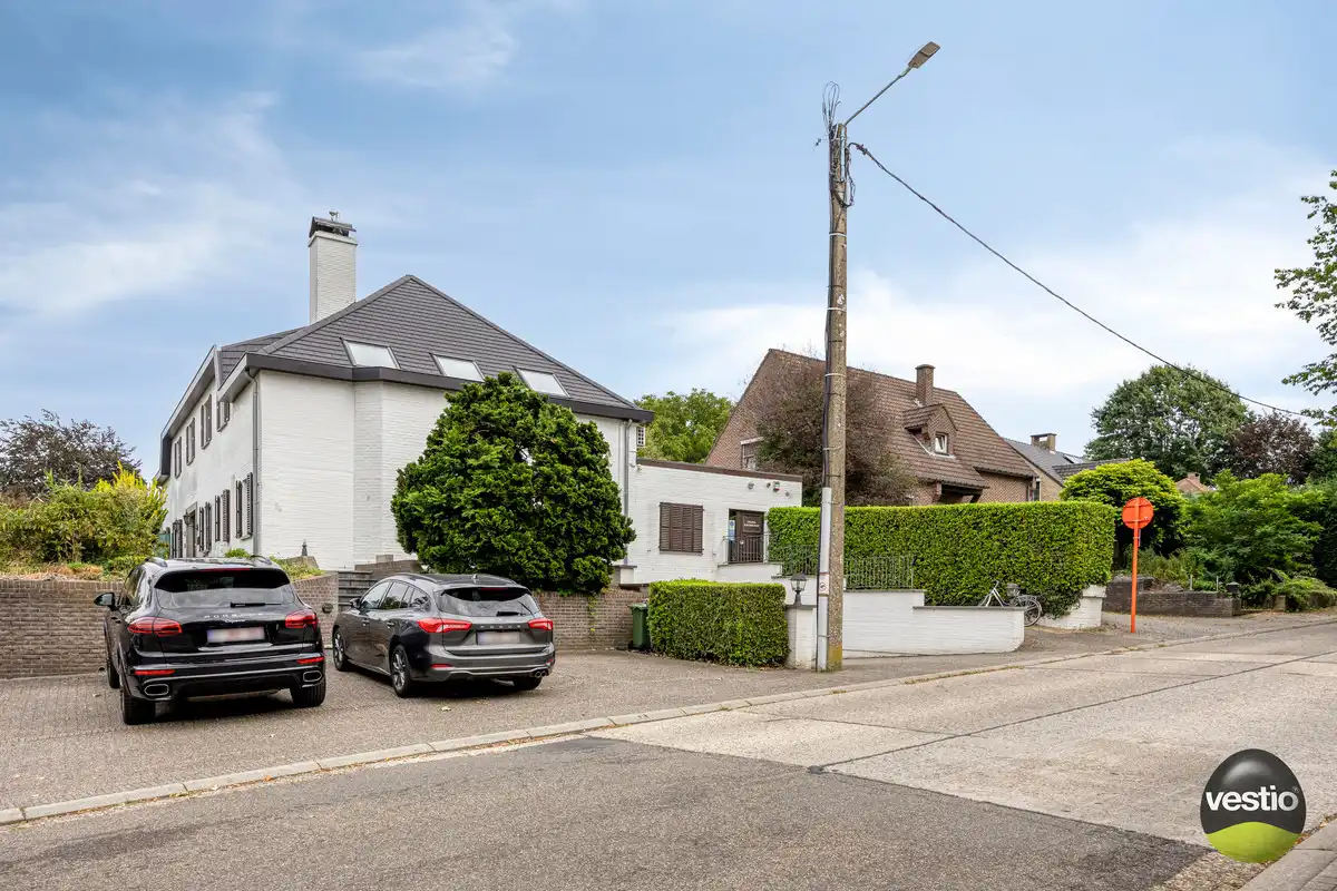 ROYALE WONING MET DOKTERSPRAKTIJK TE BILZEN HOESELT. foto 45