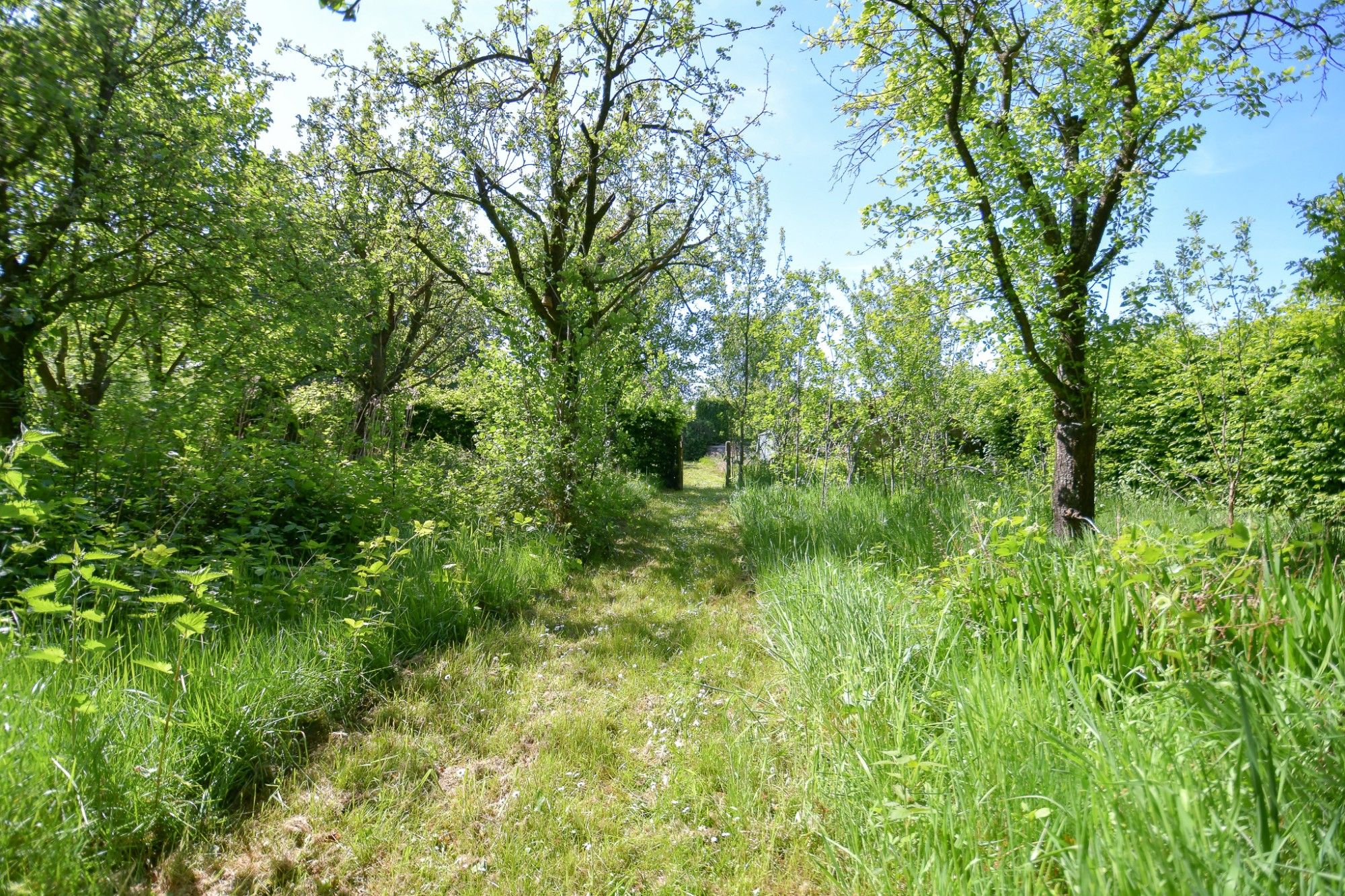 Woning en bijgebouw met prachtige idyllische tuin en uitweg op 2034 m² foto 25