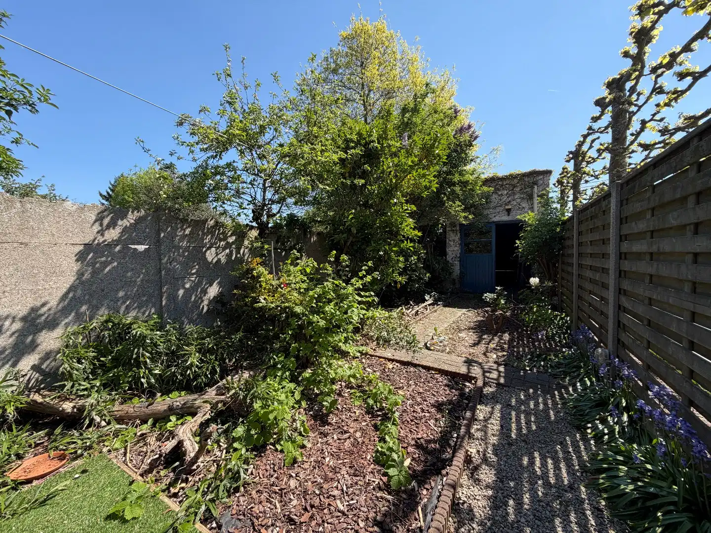 Te renoveren woning met tal van mogelijkheden en ruime opslagplaats (65,5 m²) te koop in Bissegem foto 3