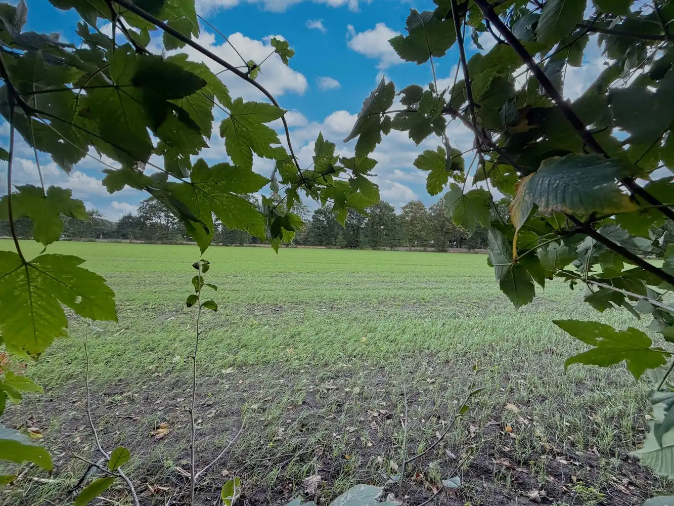 Unieke eigendom op groot perceel (1354m²)+landelijk verzicht foto 16