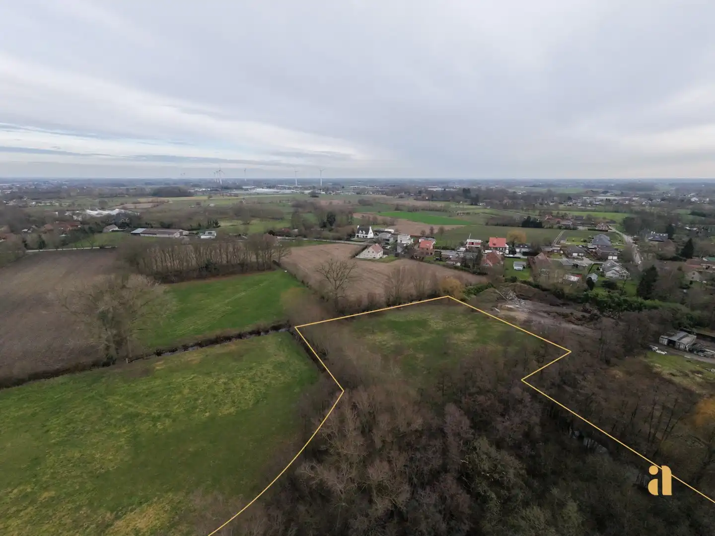Bosperceel met aangrenzend weiland in landelijke omgeving foto 4