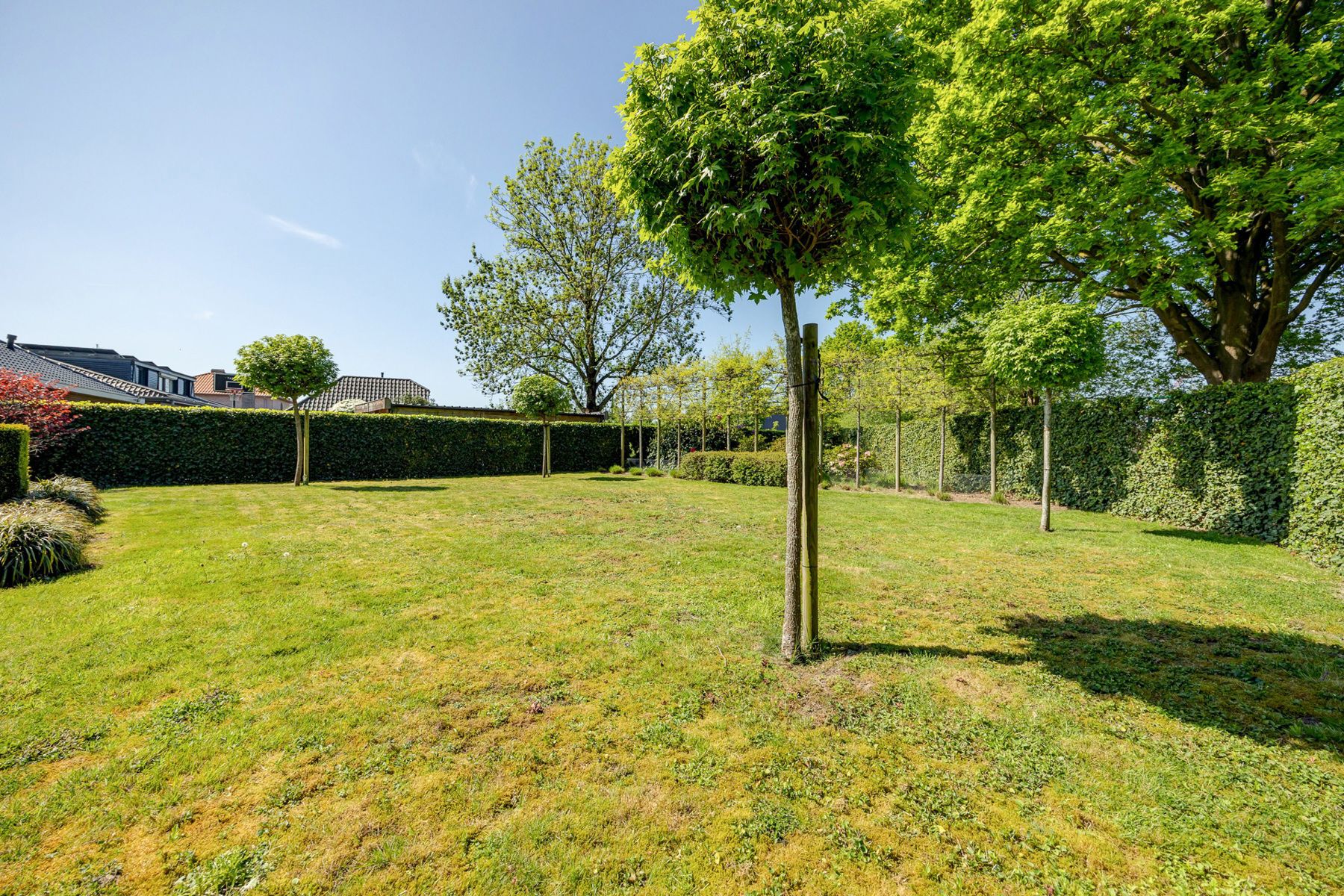 Huis te koop foto 51