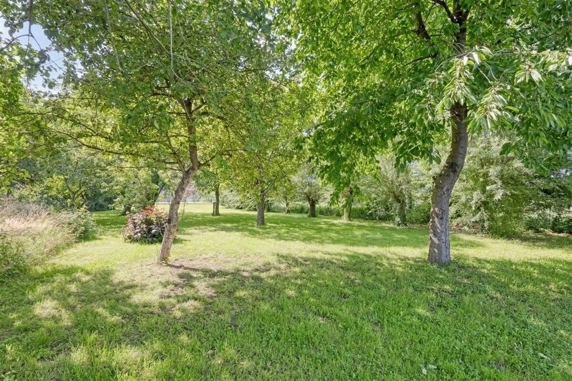 Instapklare villa met zwembad. Landelijke ligging in Leut. foto 50