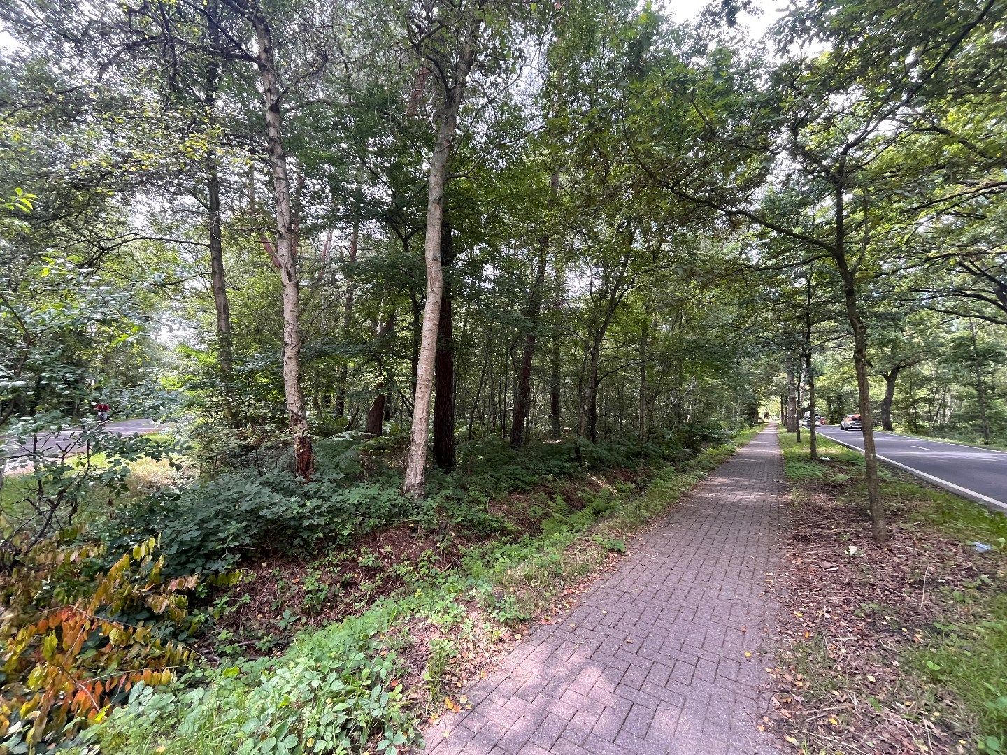 Uitgestrekt natuurgebied op een uitstekende locatie te Schilde! foto 8
