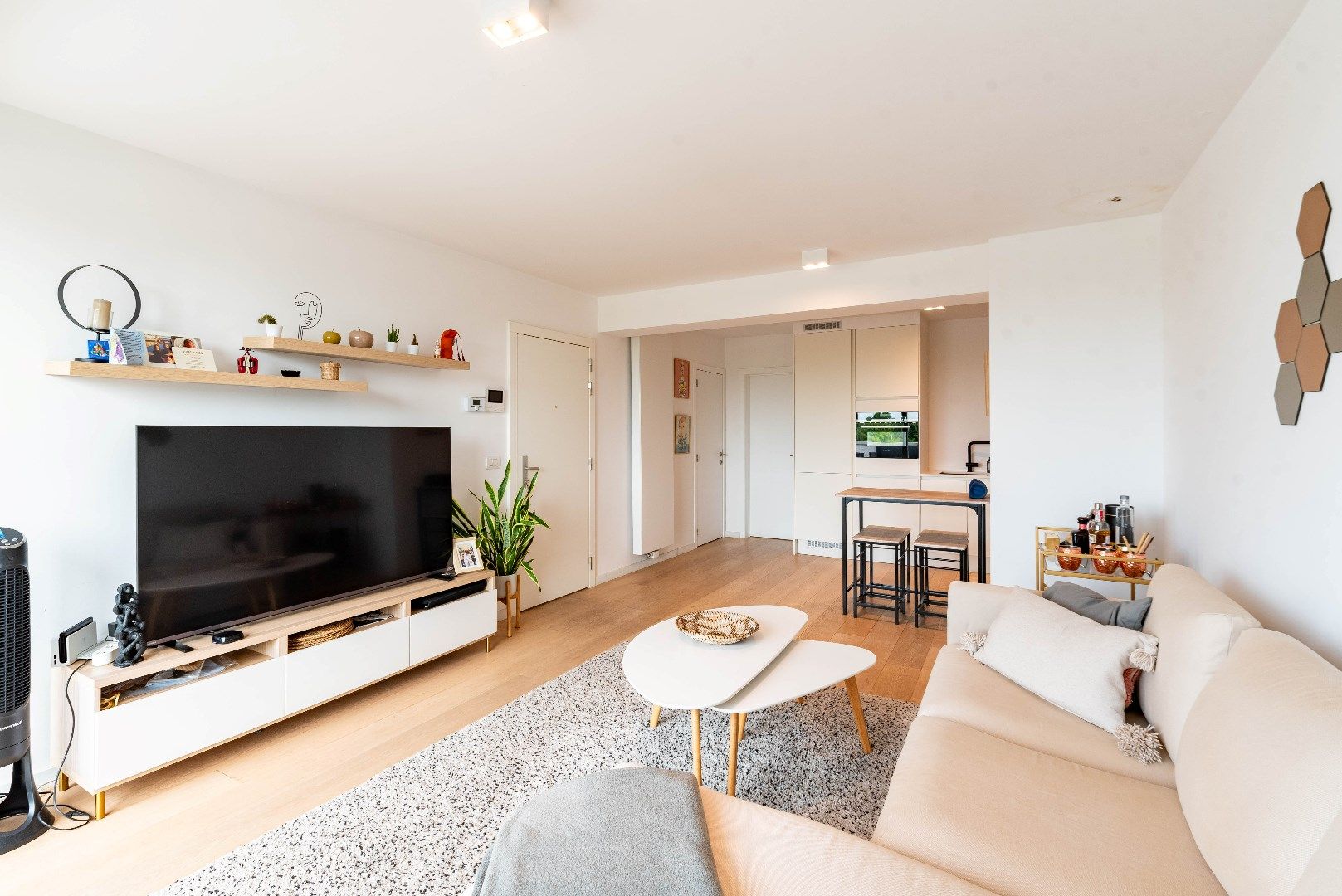 Modern penthouse op het Antwerpse Zuid foto 5