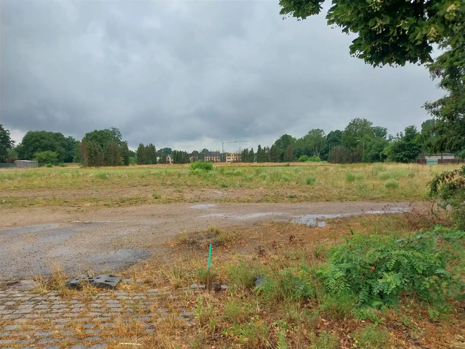 Grond te koop Lommelsesteenweg lot 5 - 3970 LEOPOLDSBURG