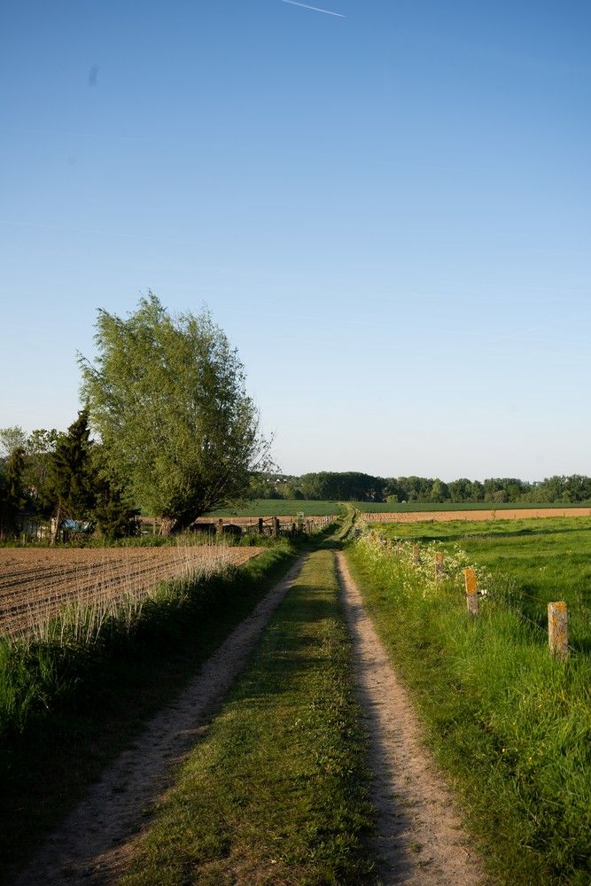 Instapklare landelijke woning in prachtige omgeving! foto 12