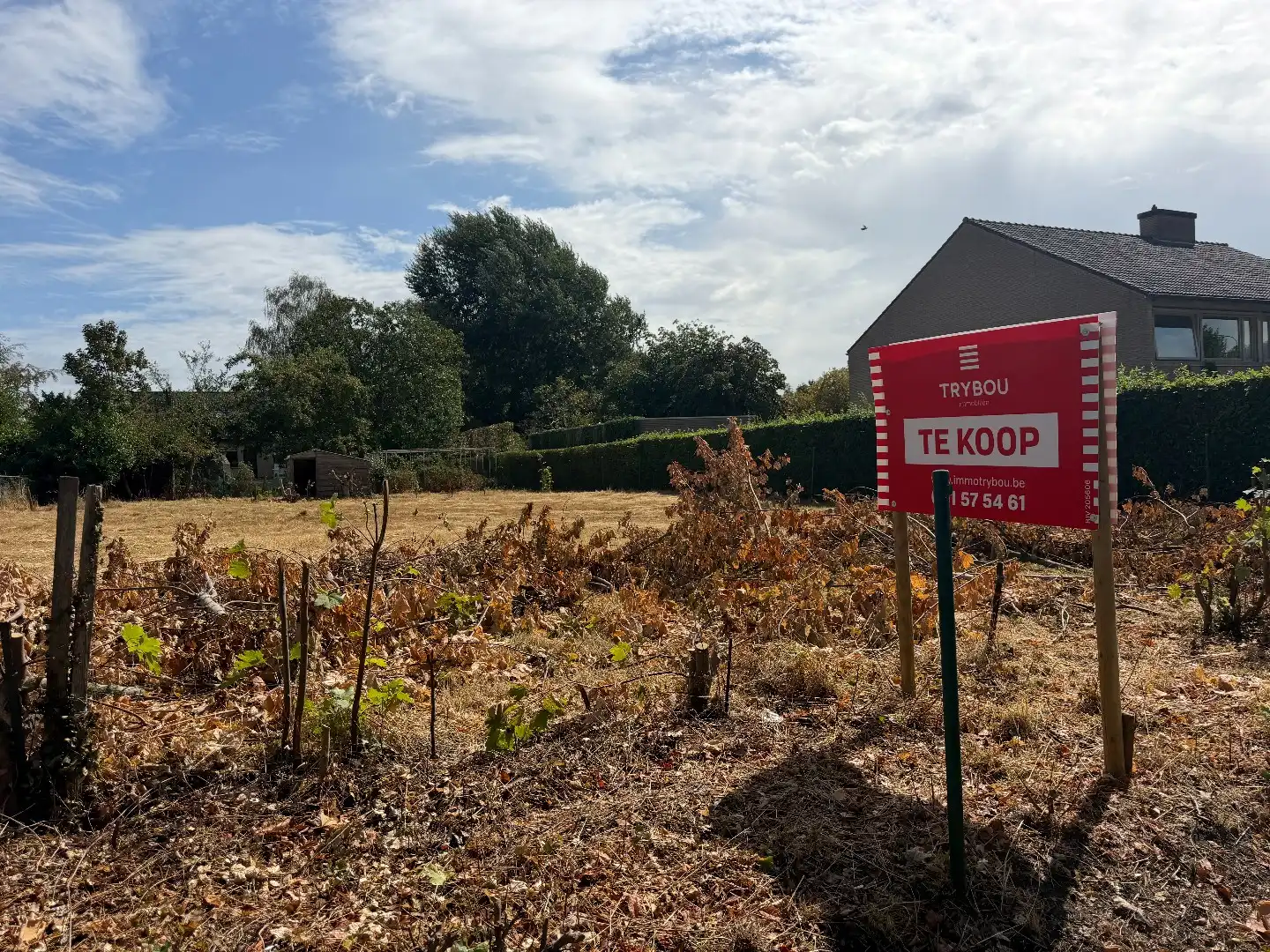 Unieke bouwgrond te koop in Diksmuide op een perceel van 730m²! foto 4