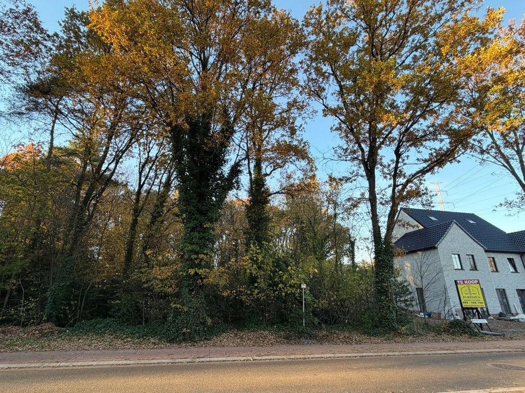 Genk, Reinpadstraat 183 (Lot 2A en 2B): uitstekend gelegen bouwgrond van 7a 31ca voor halfopen bebouwing. foto 5