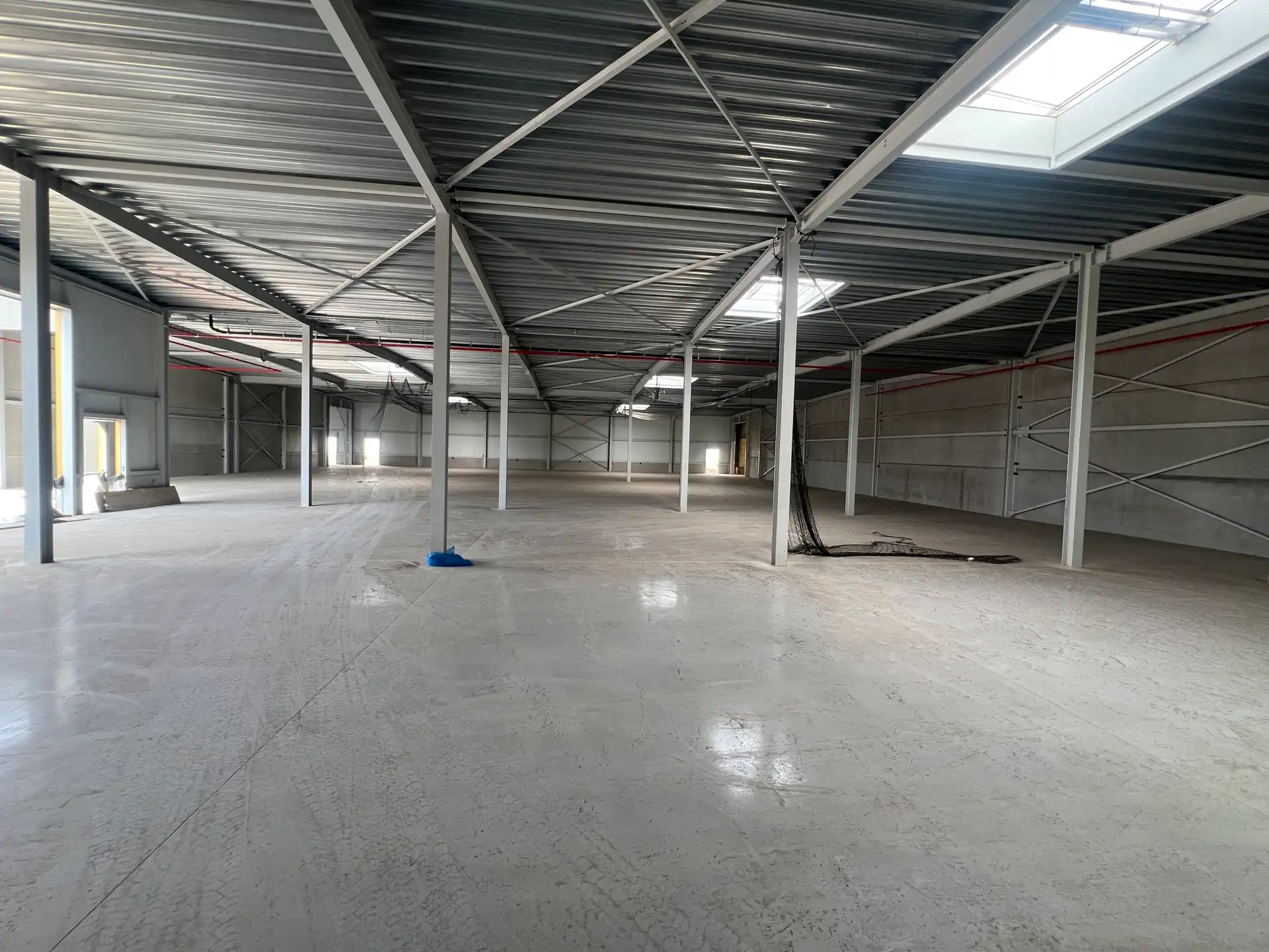 Bedrijfsgebouw op toplocatie in Houthalen, direct aan de E314 foto 6