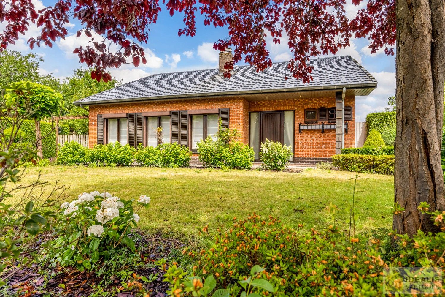 Aangename karakterwoning op fijne locatie te Pelt. Deze woning omvat maar liefst +-124m² netto bewoonbare oppervlakte op een perceel van 7a 36ca met een ruime woonkamer, 3 slaapkamers, badkamer, wasplaats en eventueel af te werken zolder vlakbij de dorpskern van Pelt! Uiterst geschikt voor kandidaten op zoek naar een betaalbare doch instapklare woning. foto 2