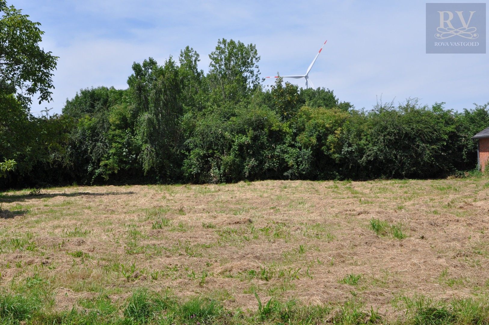 CENTRAAL GELEGEN WEIDE/LANDBOUWGROND VAN 10ARE IN BOORSEM foto 5