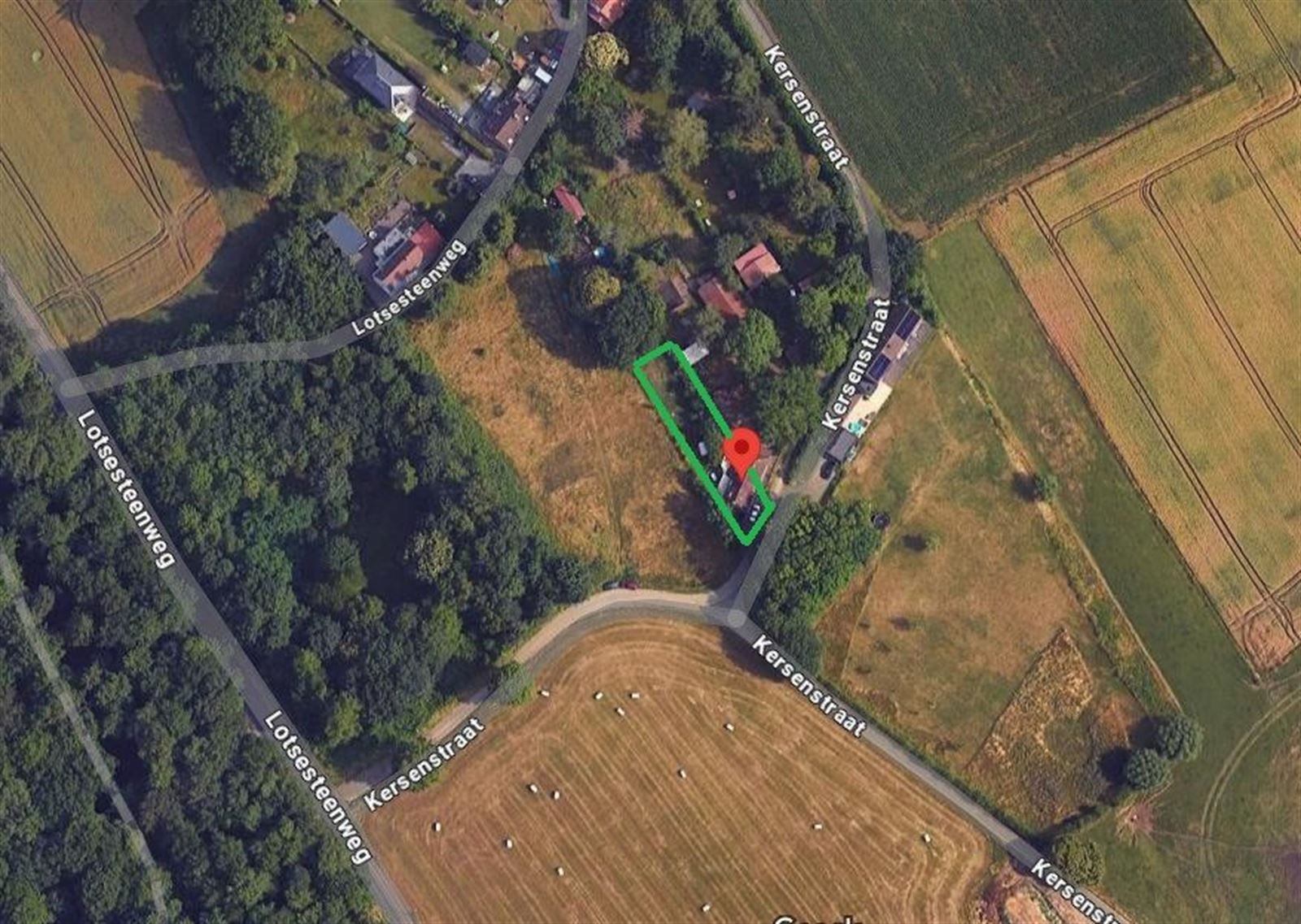 Woning met grote tuin te Dworp foto 4