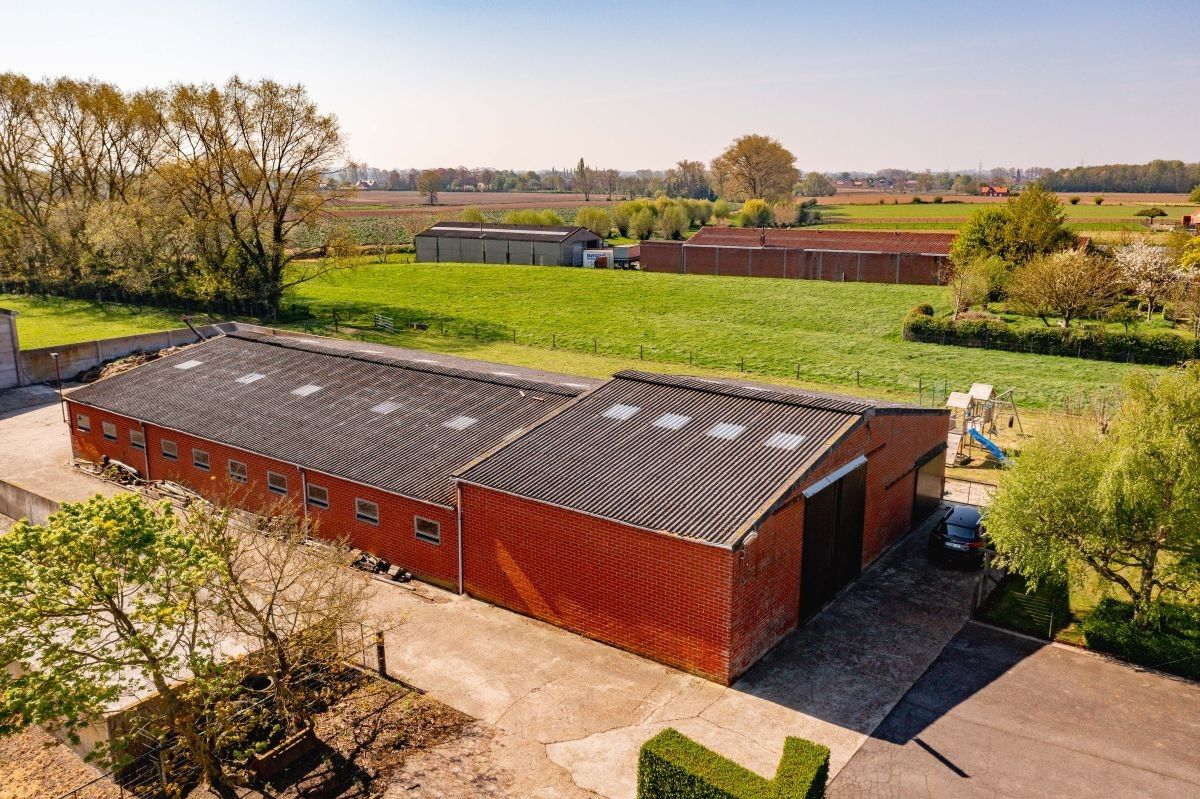 Hoeve met ruime stallen/loods te koop te Kortemark foto 9