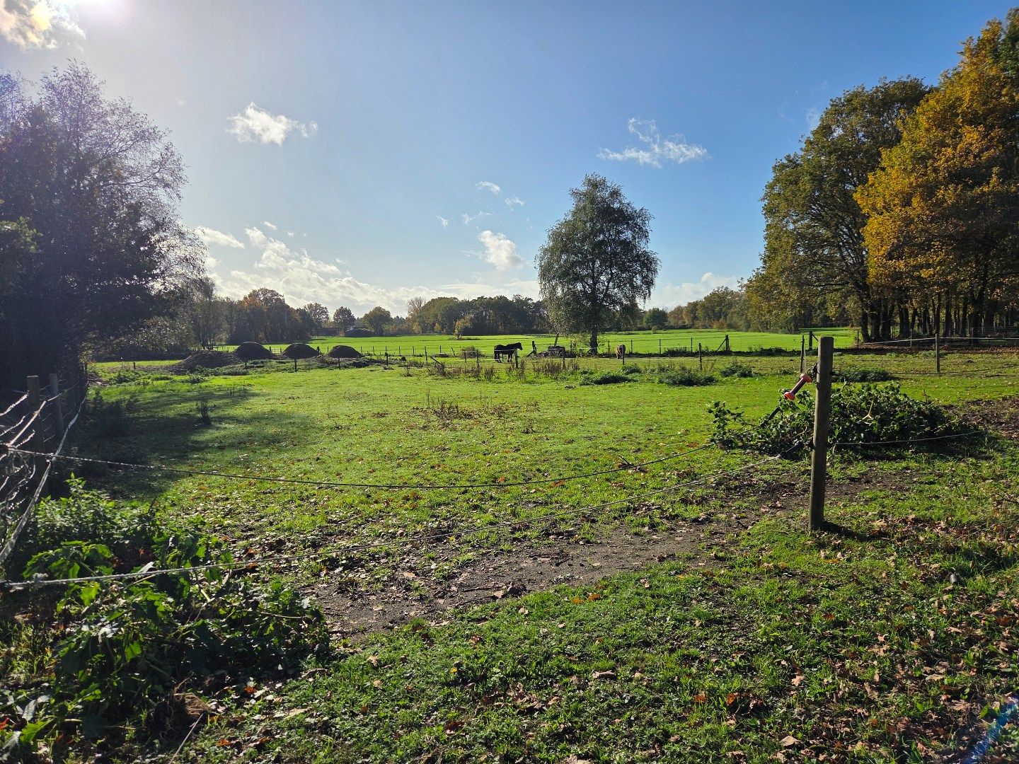 Woning met 3 slpks, schuur met 3 stallen en weiland op 2.288 m² nabij Geel-centrum ! foto 25