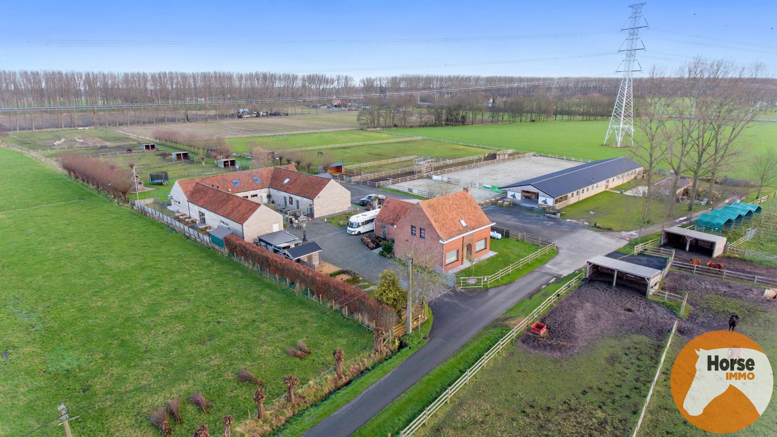 DAMME – Instapklare paardeneigendom, piste en extra woonhuis foto 2