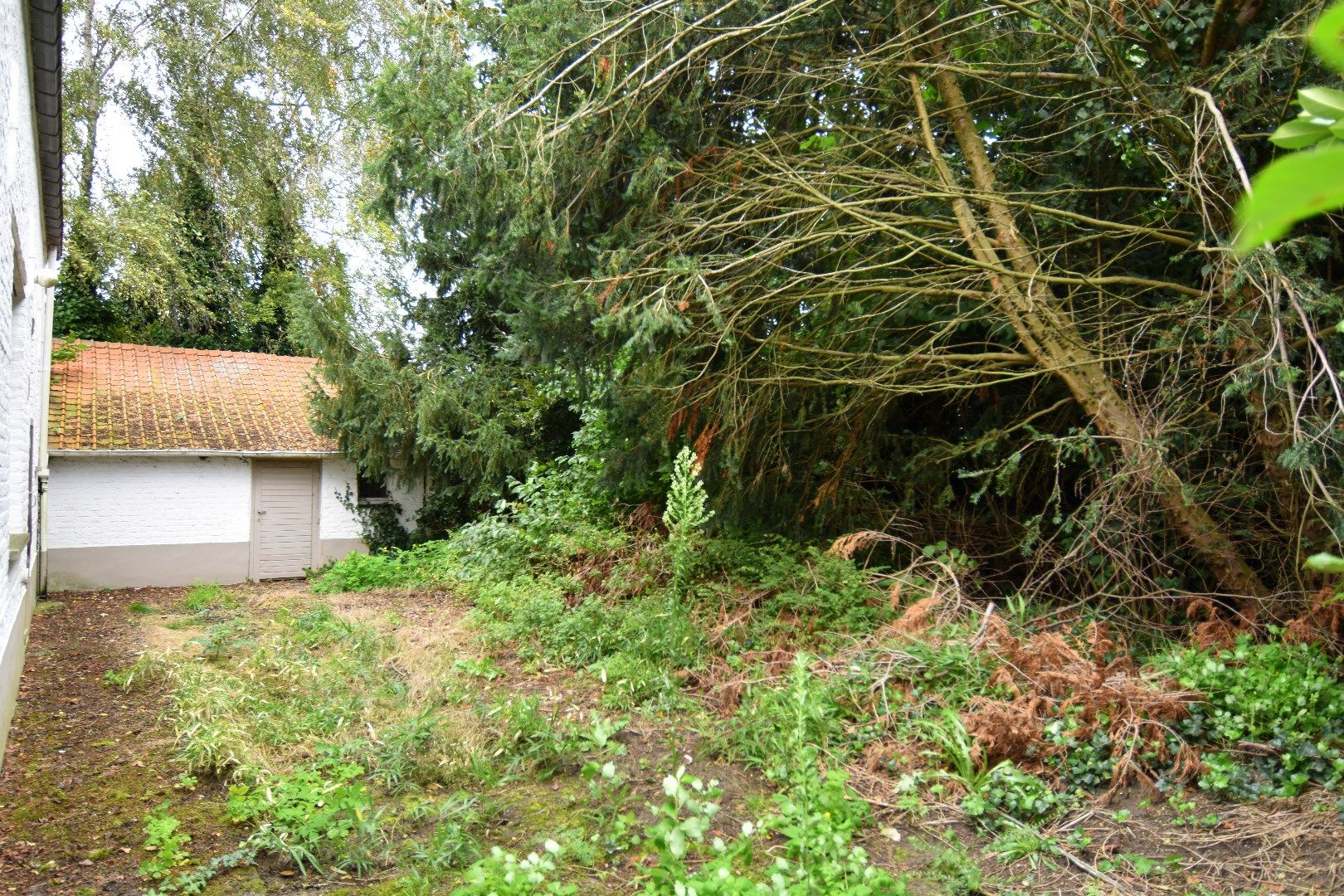 Alleenstaande woning te koop in Gullegem vlakbij Domein Bergelen foto 5