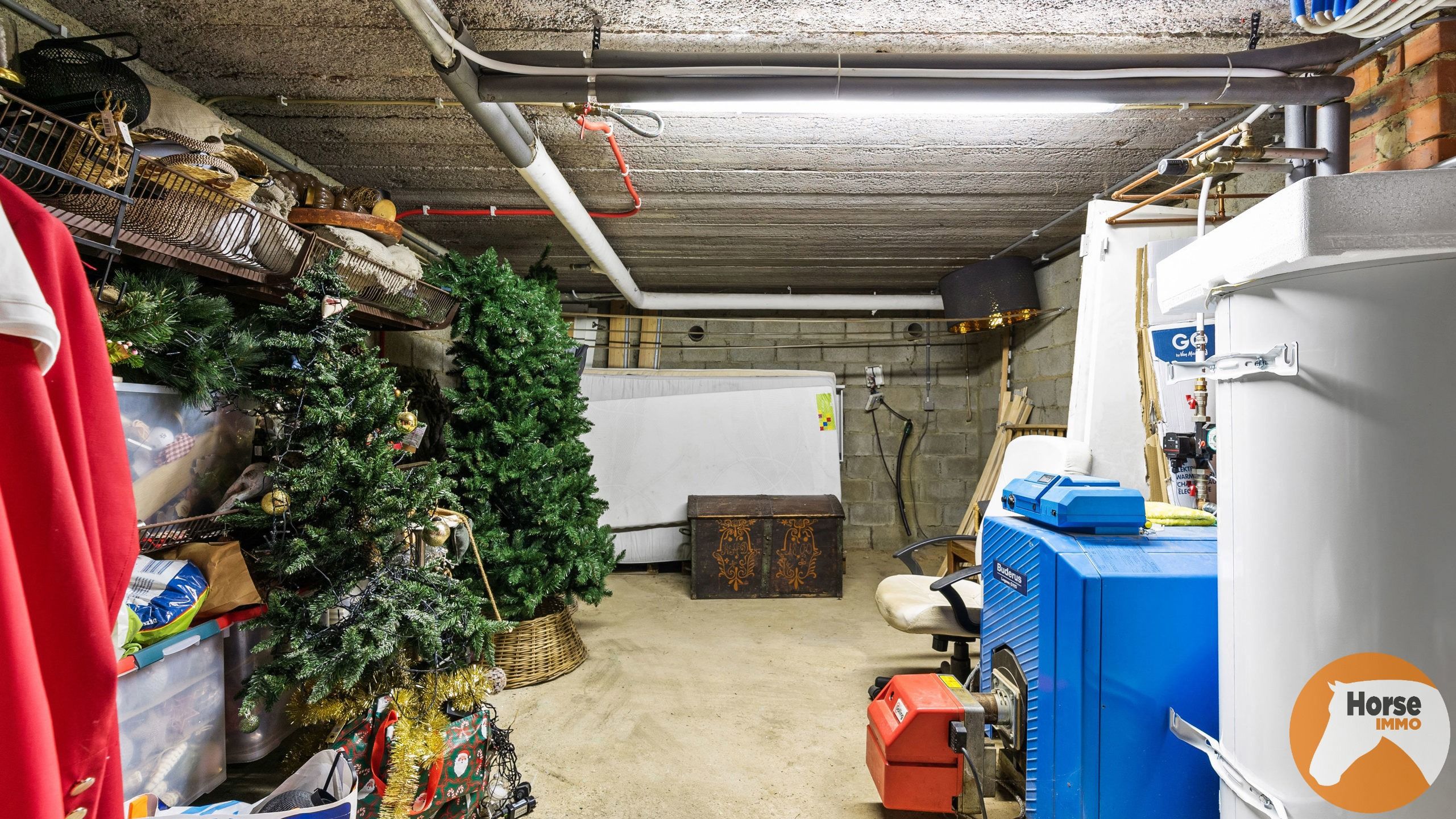 OUDSBERGEN - Prachtig gelegen woning met loodsen op 2ha5 foto 27