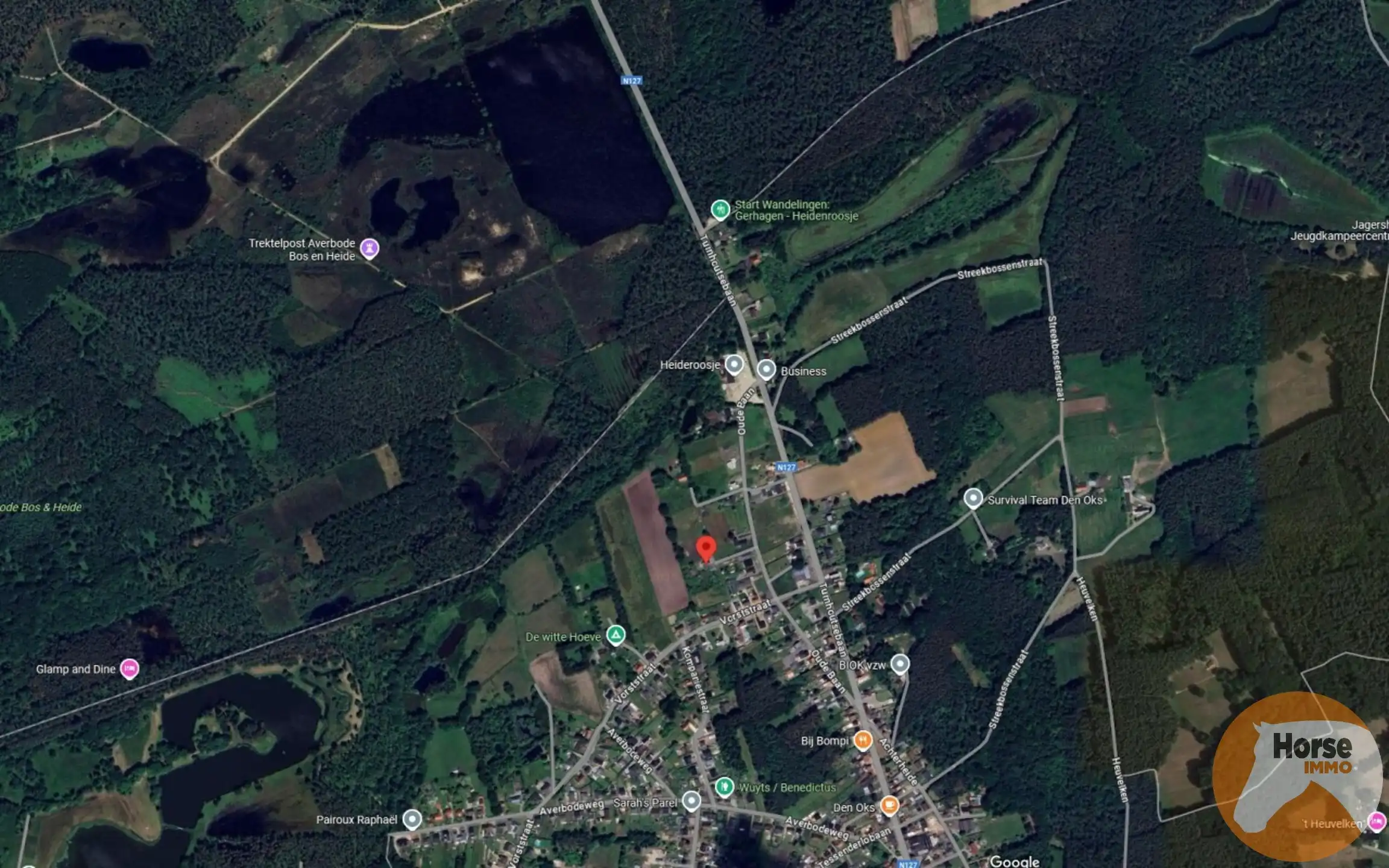 SCHERPENHEUVEL-ZICHEM - Woning op 47a nabij Averbode Bos   foto 19