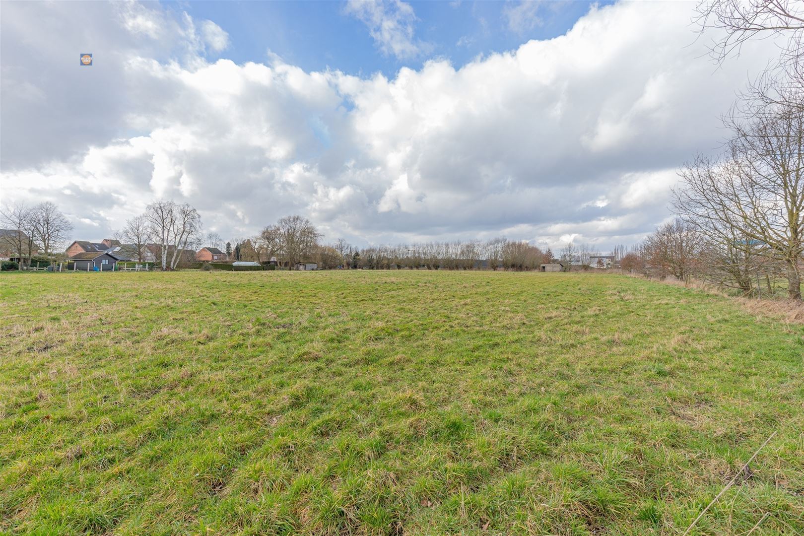 Twee prachtige percelen landbouwgrond in Sint-Amands foto 9