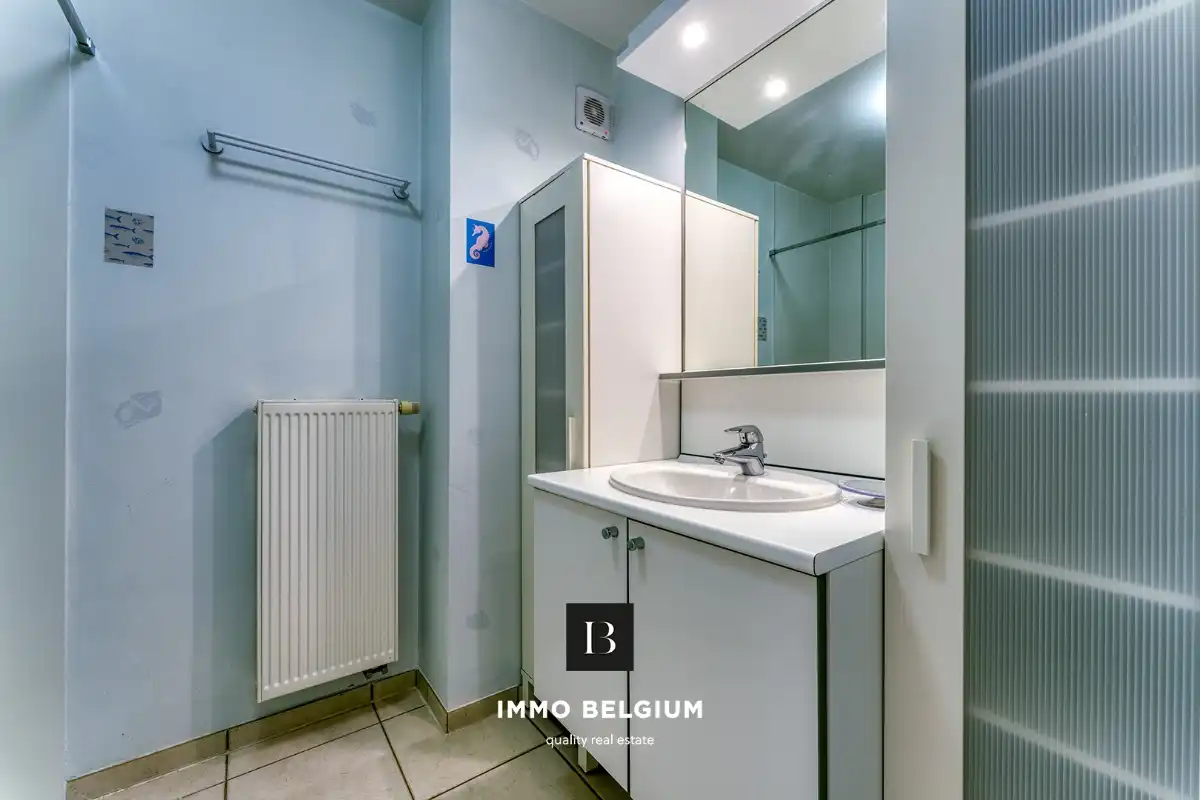 Instapklaar appartement met 2slpk op centrale ligging foto 10