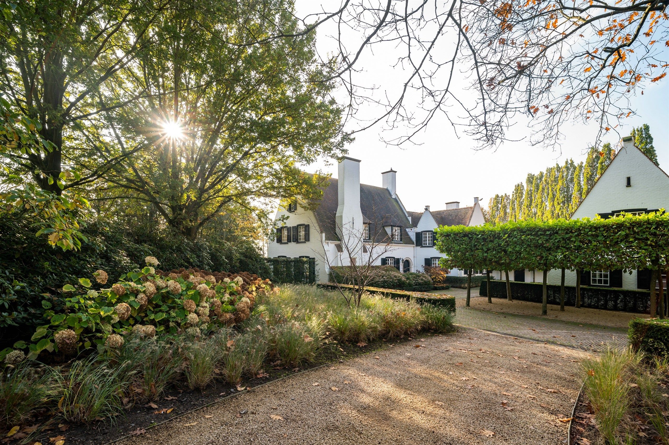 Aan Bellegem bos: Idyllische eigendom op 7.630 m² foto 5