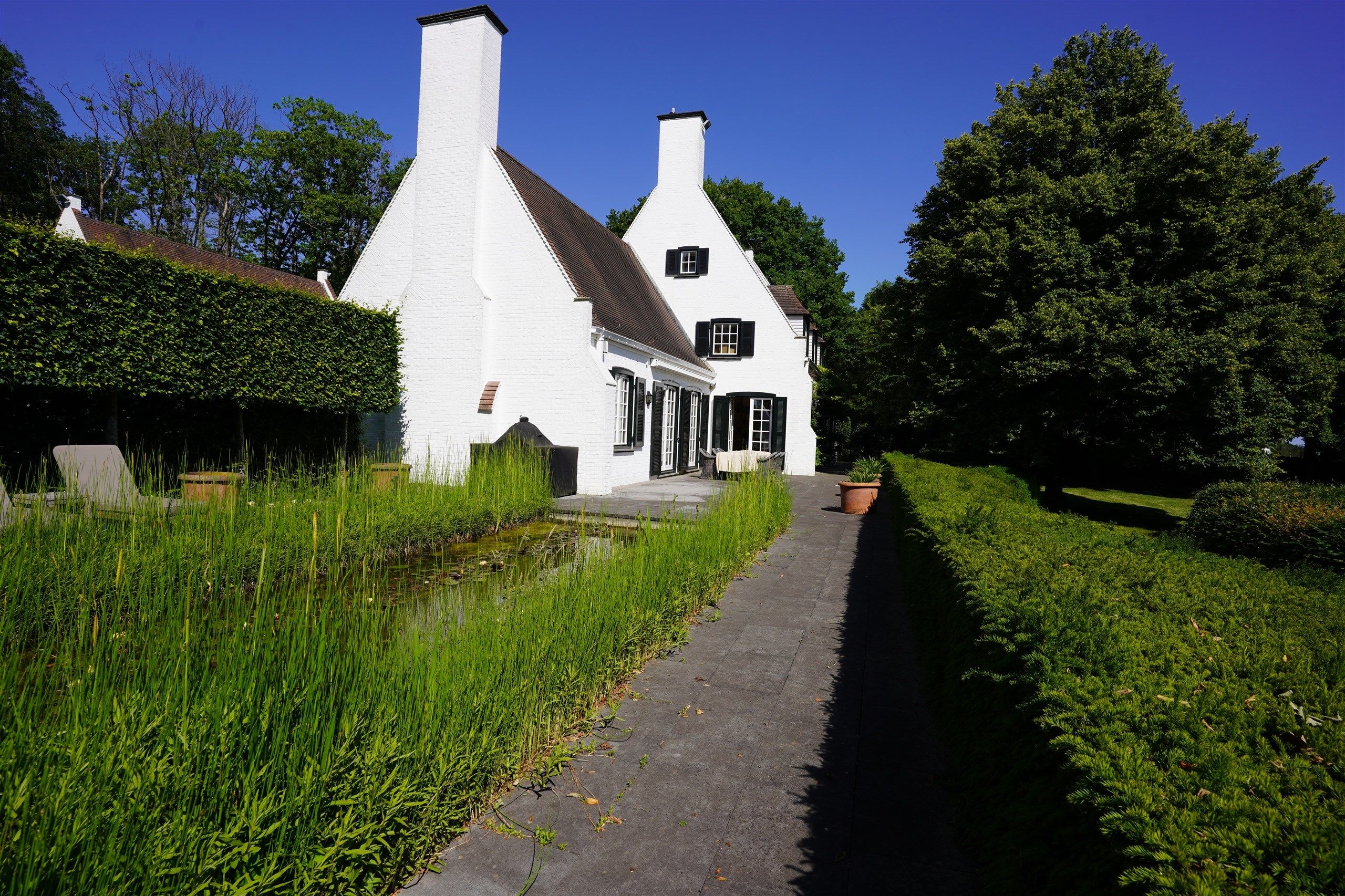 Aan Bellegem bos: Idyllische eigendom op 7.630 m² foto 5