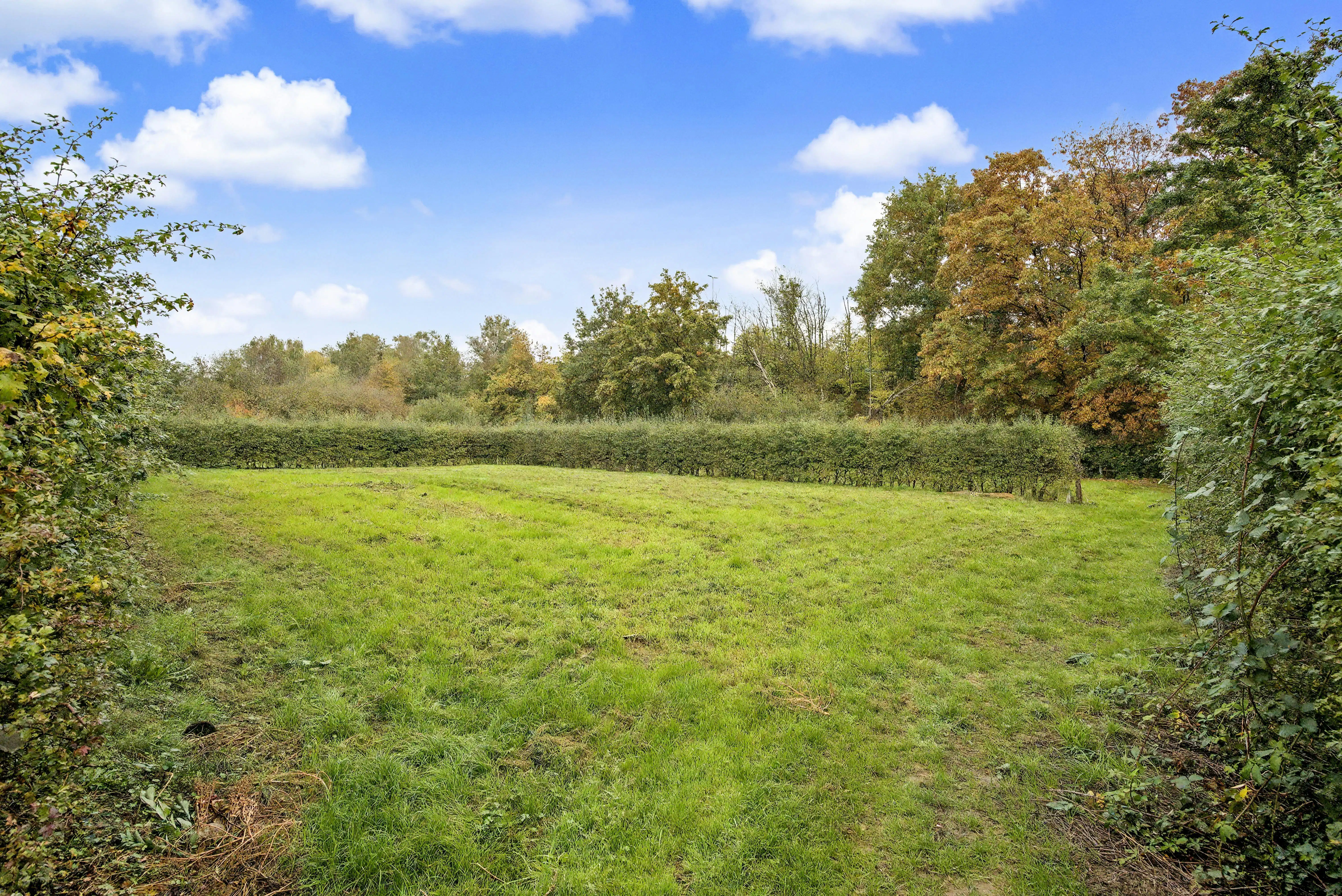 Handelspand van 150 m² te Hasselt foto 6