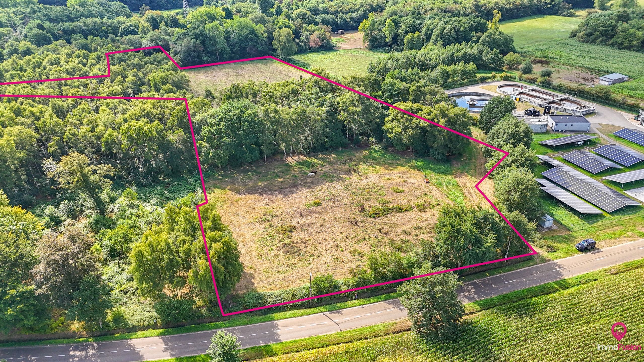 Uitgestrekt perceel van 3 hectare landbouw- of paardenweide! foto 10