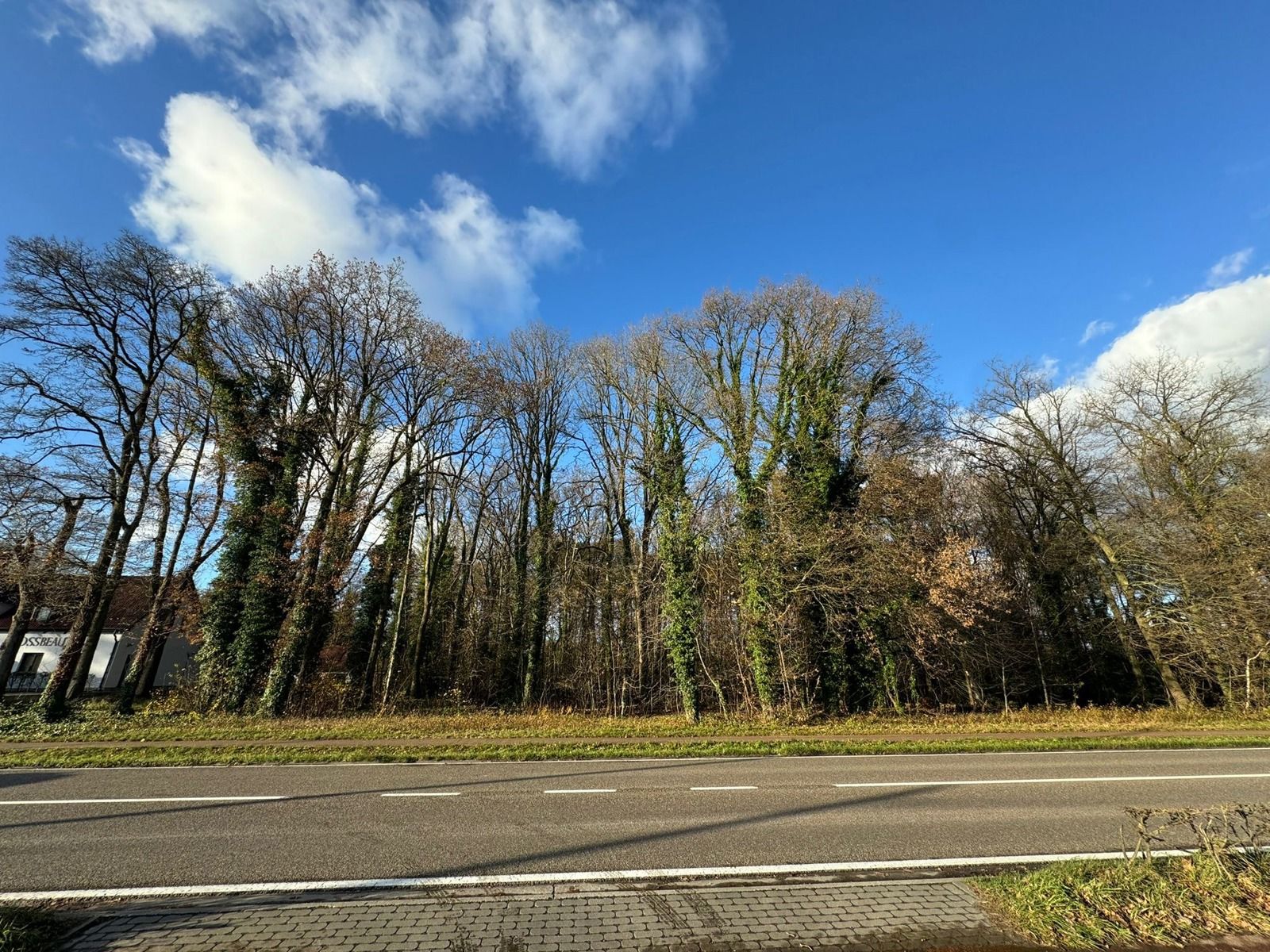 Exclusief perceel bouwgrond van ca. 3.998m² aan de Kapellei foto {{pictureIndex}}