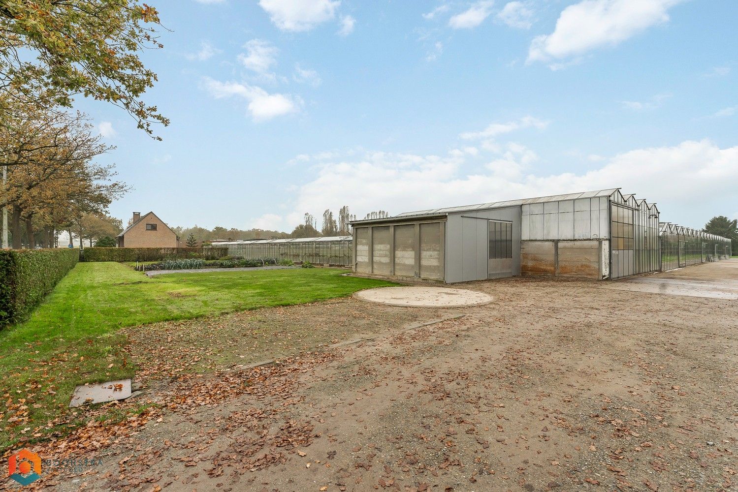 Landbouwwoning met 4 slpkrs en serre op een perceel van 13.598 m² te Sint-Katelijne-Waver foto 11