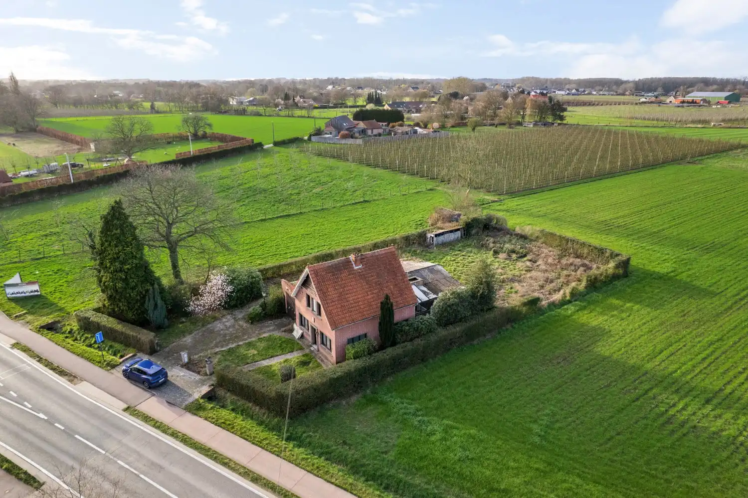 TE RENOVEREN WONING OMGEVEN DOOR AGRARISCH GEBIED! foto 4