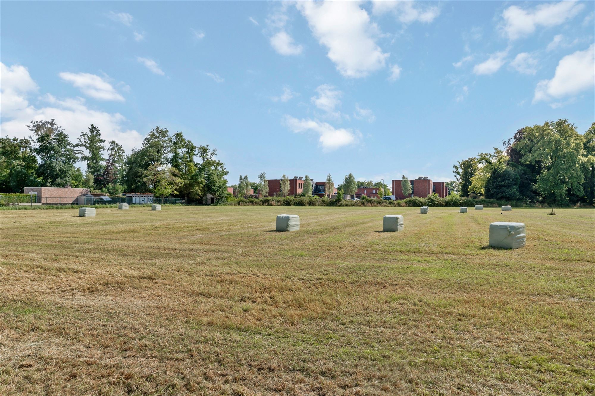 MOOIE BOUWGROND OB VAN 1055M² TE BALEN foto 2