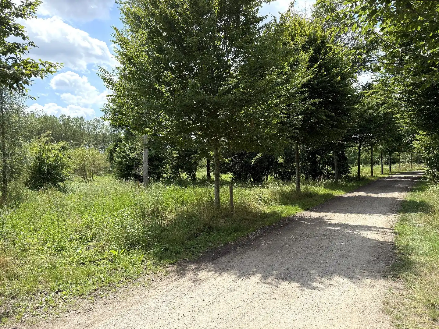 Perceel bos/weiland 5ha in natuurgebied De Kevie te Tongeren foto 4