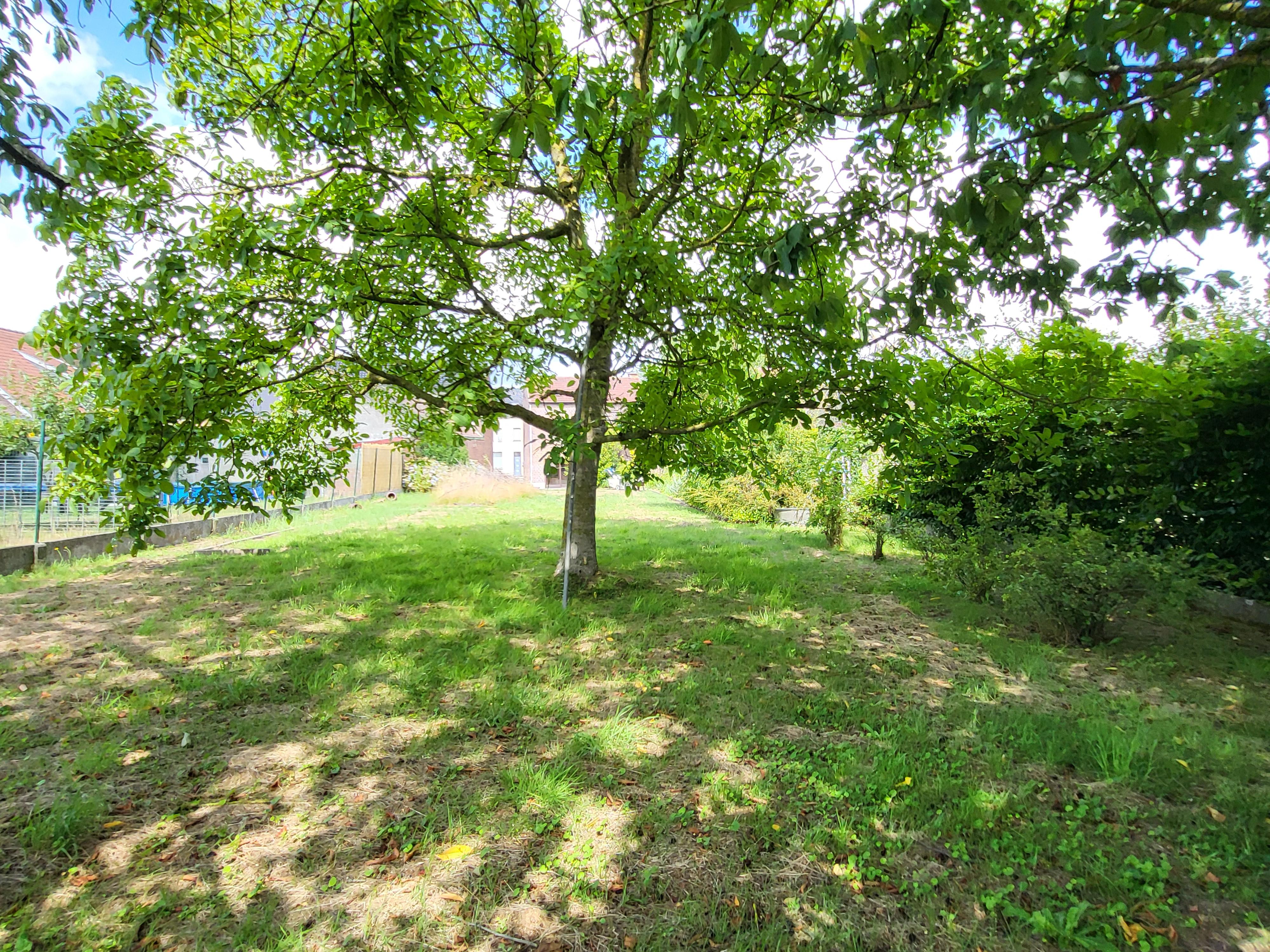 Prachtige burgerwoning op 950 m² met ruime garage en zuidgerichte tuin gelegen in de Vlaamse Ardennen.  foto 4