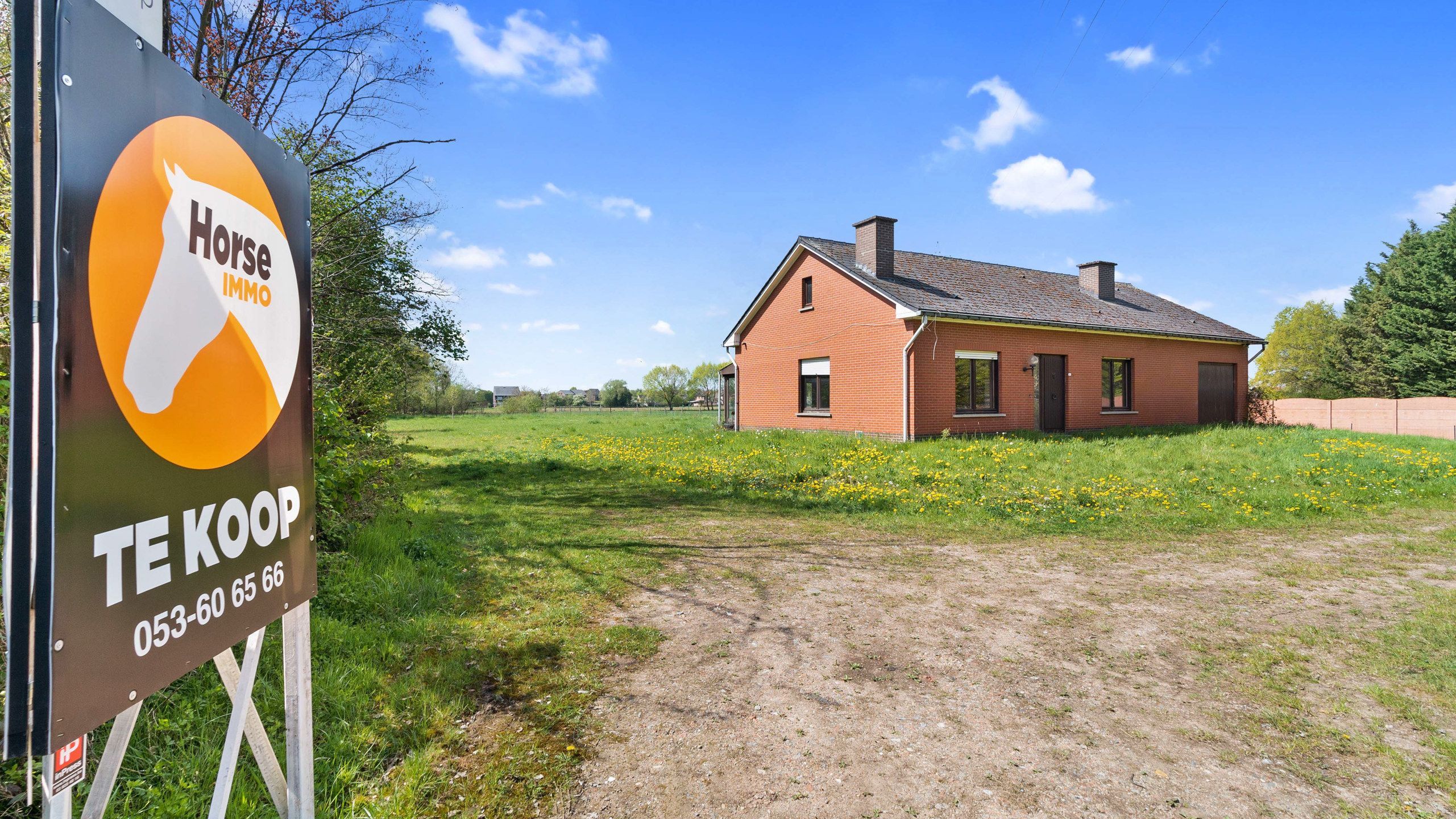 WILSELE - Woning met landelijk zicht op 41a foto 2
